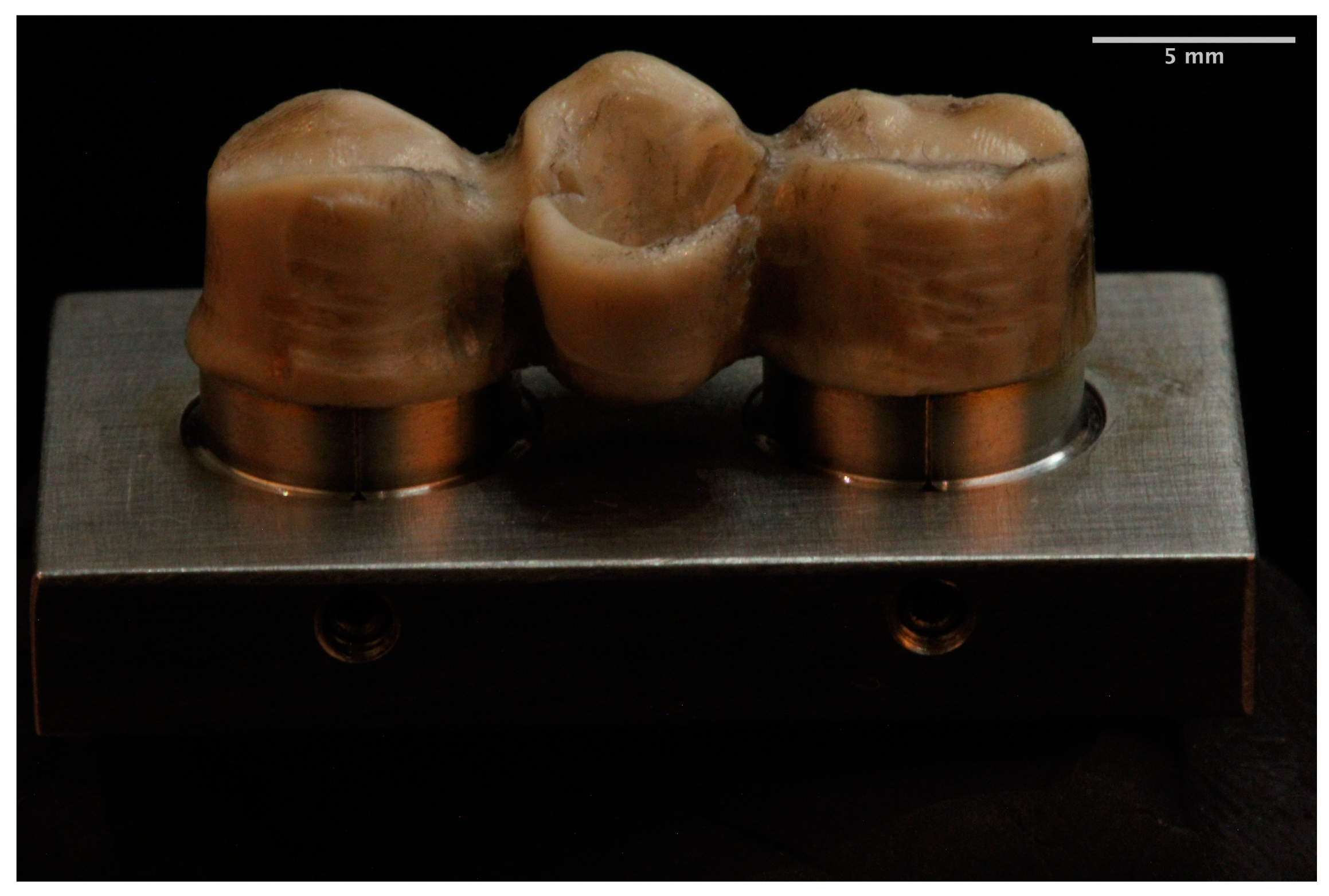 Materials 14 00959 g005 Materials 14 00959 g005