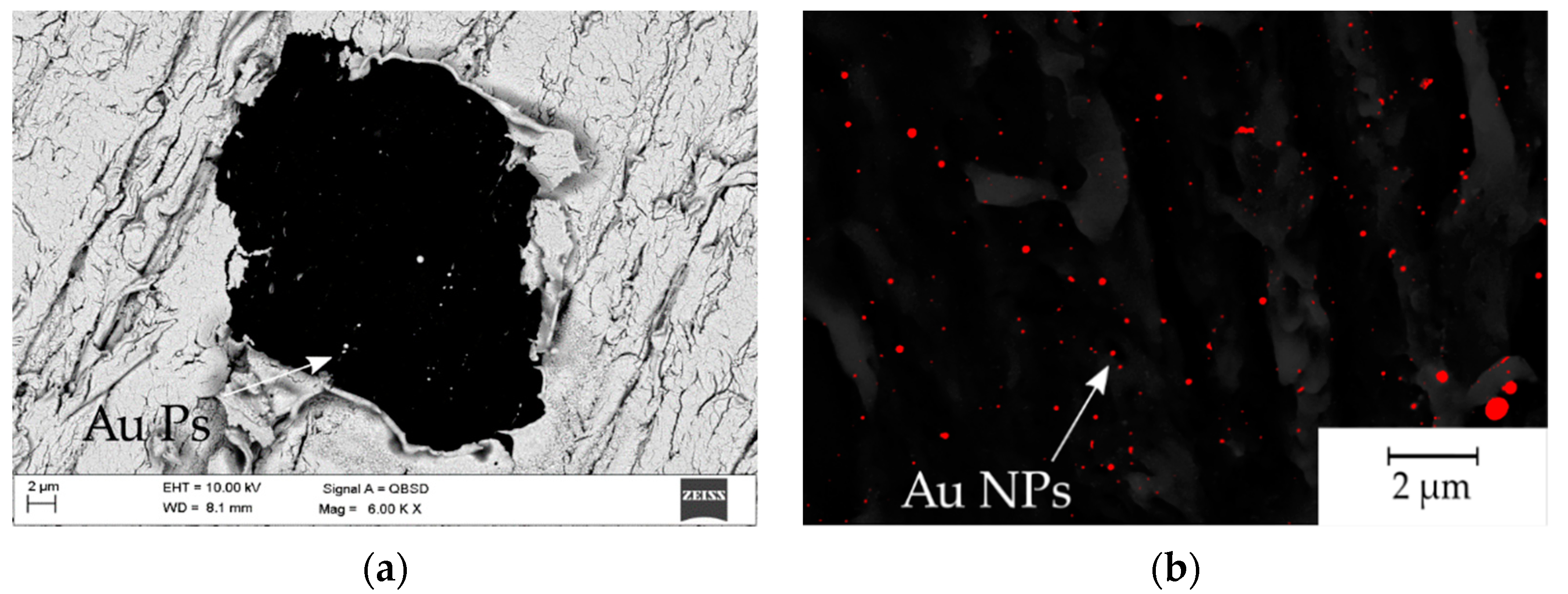 Materials 14 00971 g007 Materials 14 00971 g007