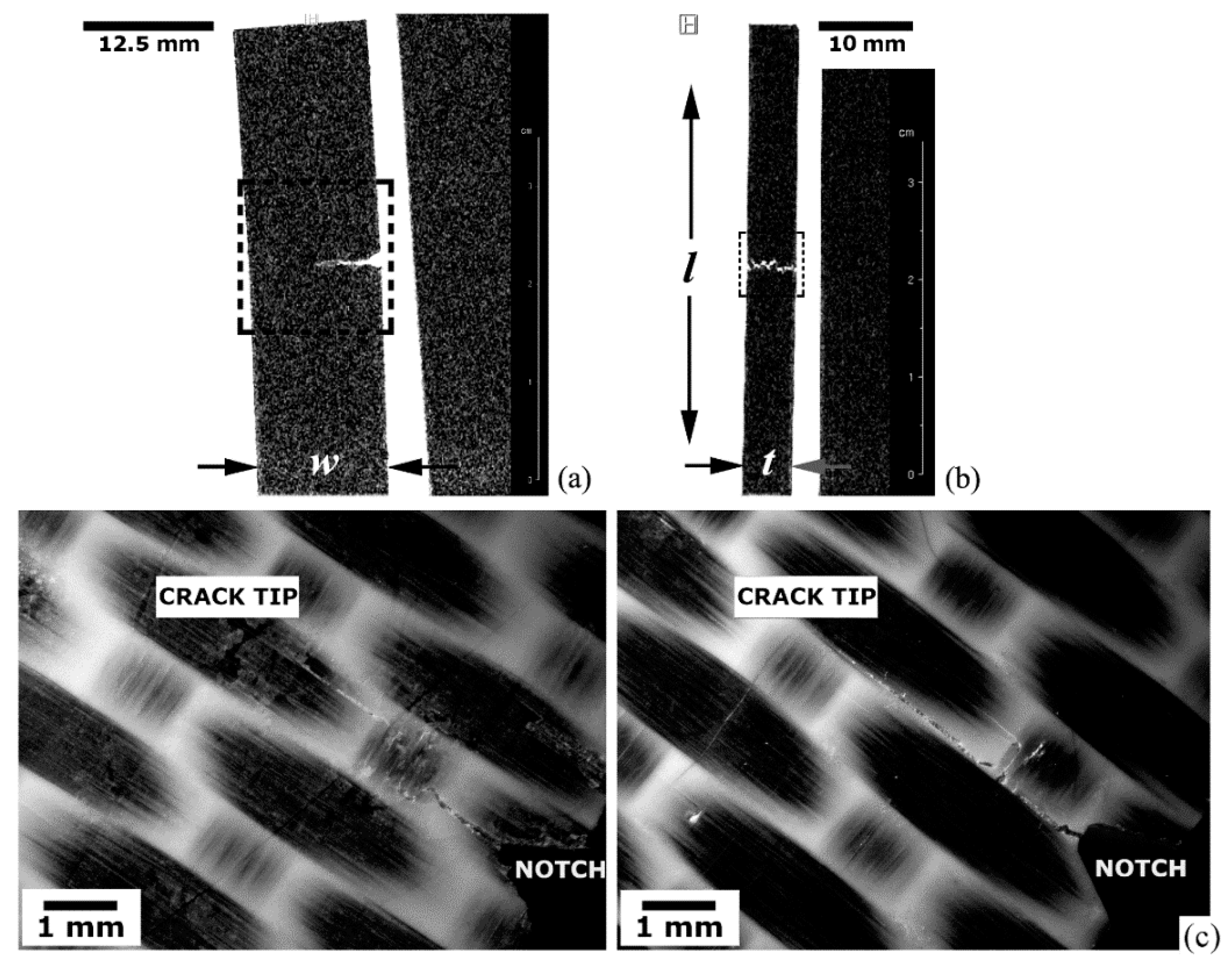 Materials 14 00977 g008
