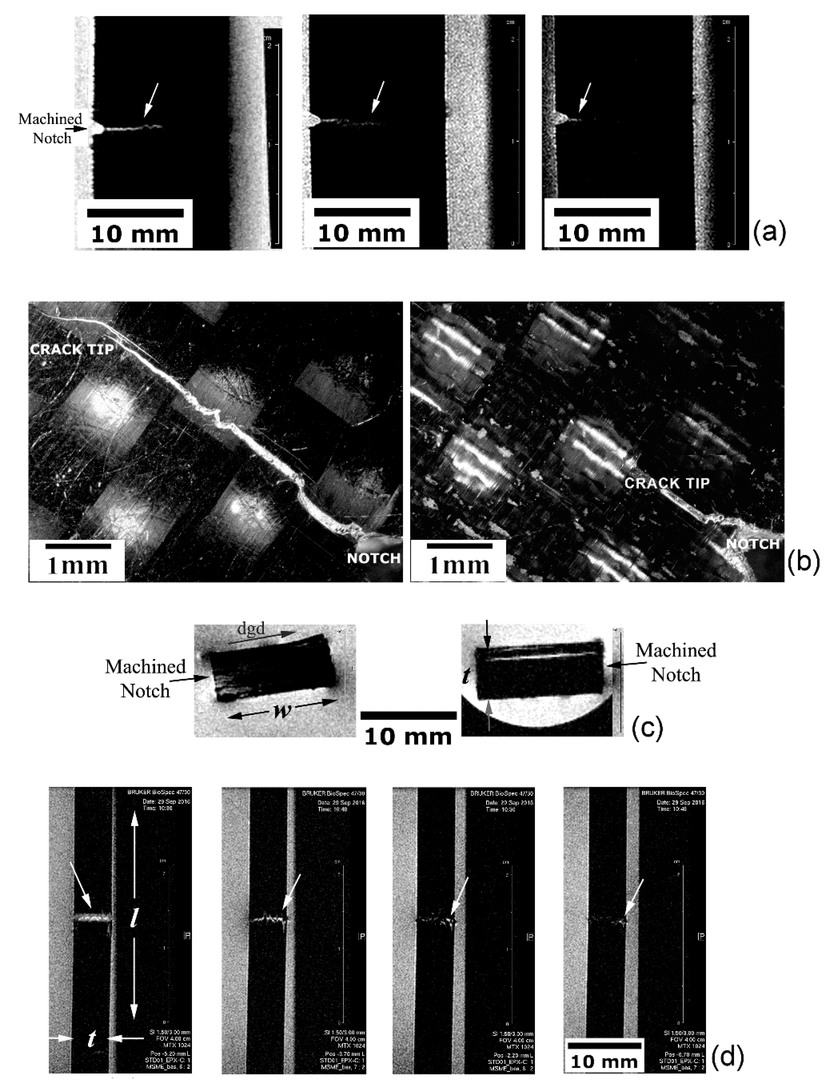 Materials 14 00977 g010