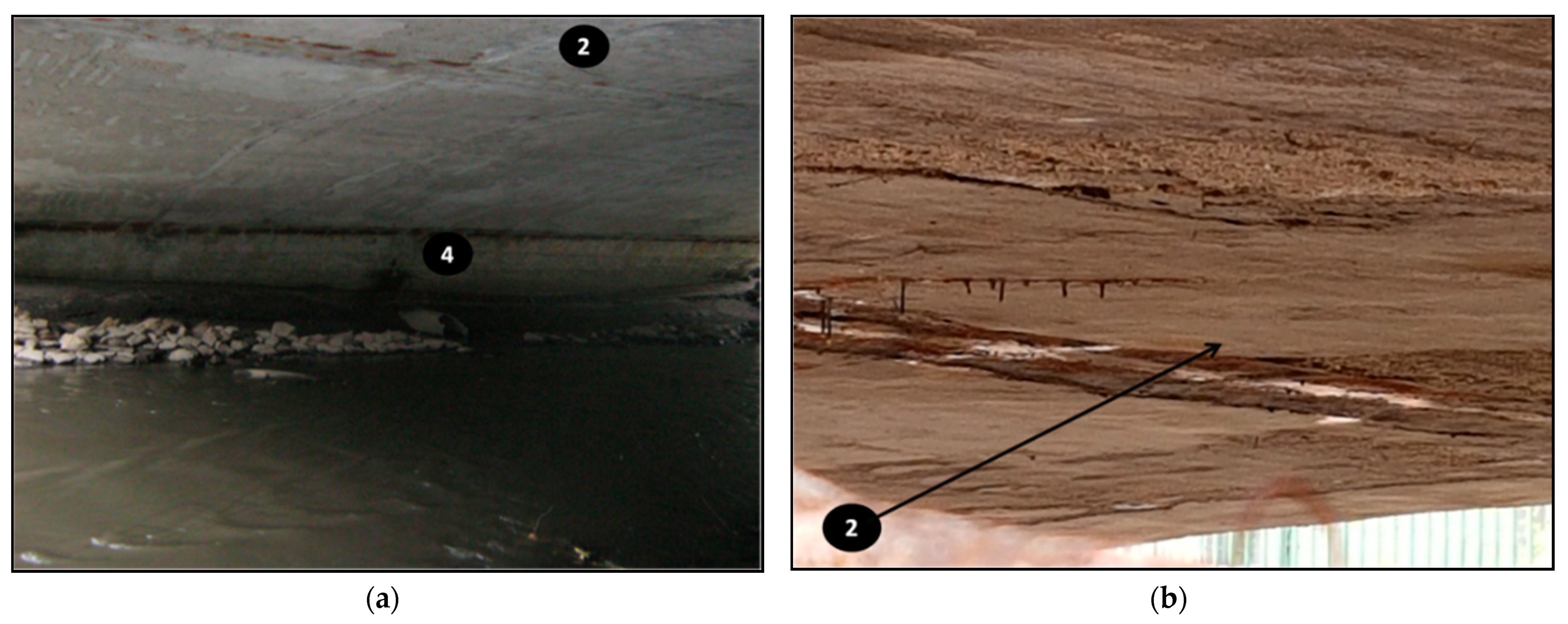 Materials 14 00981 g005a Materials 14 00981 g005a