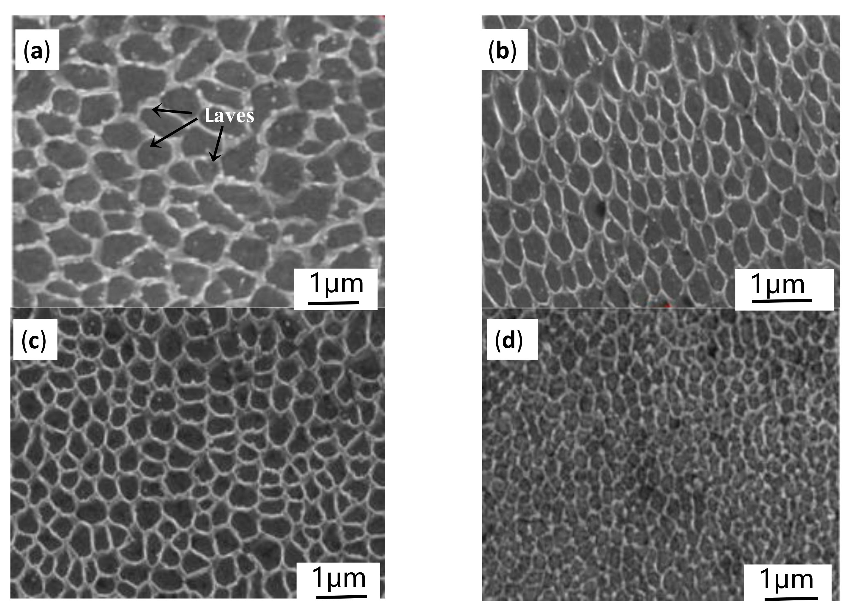 Materials 14 00991 g010 Materials 14 00991 g010