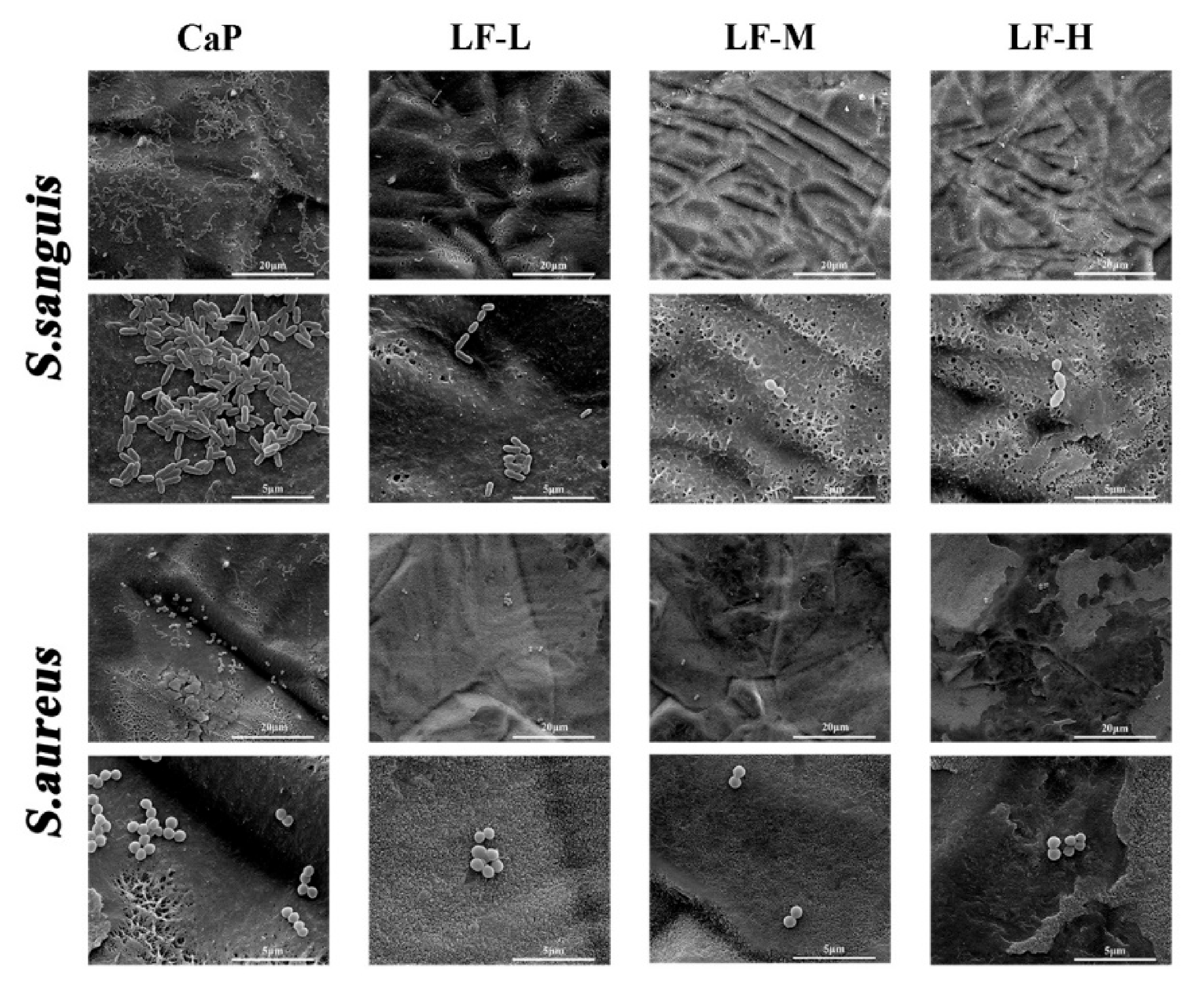 Materials 14 00992 g004