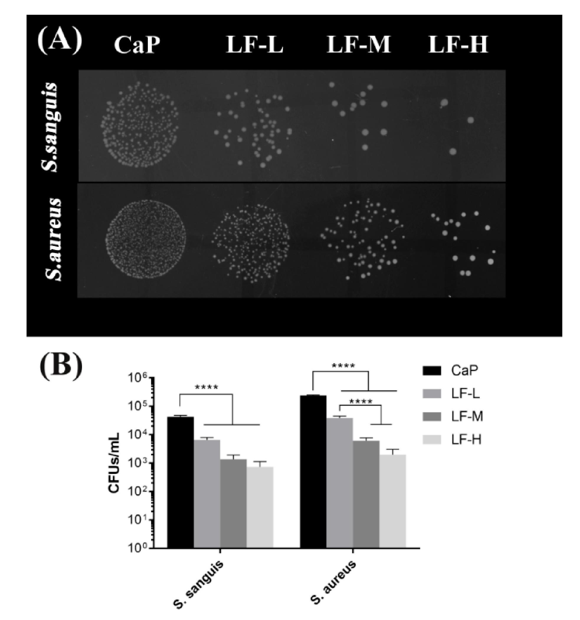 Materials 14 00992 g005