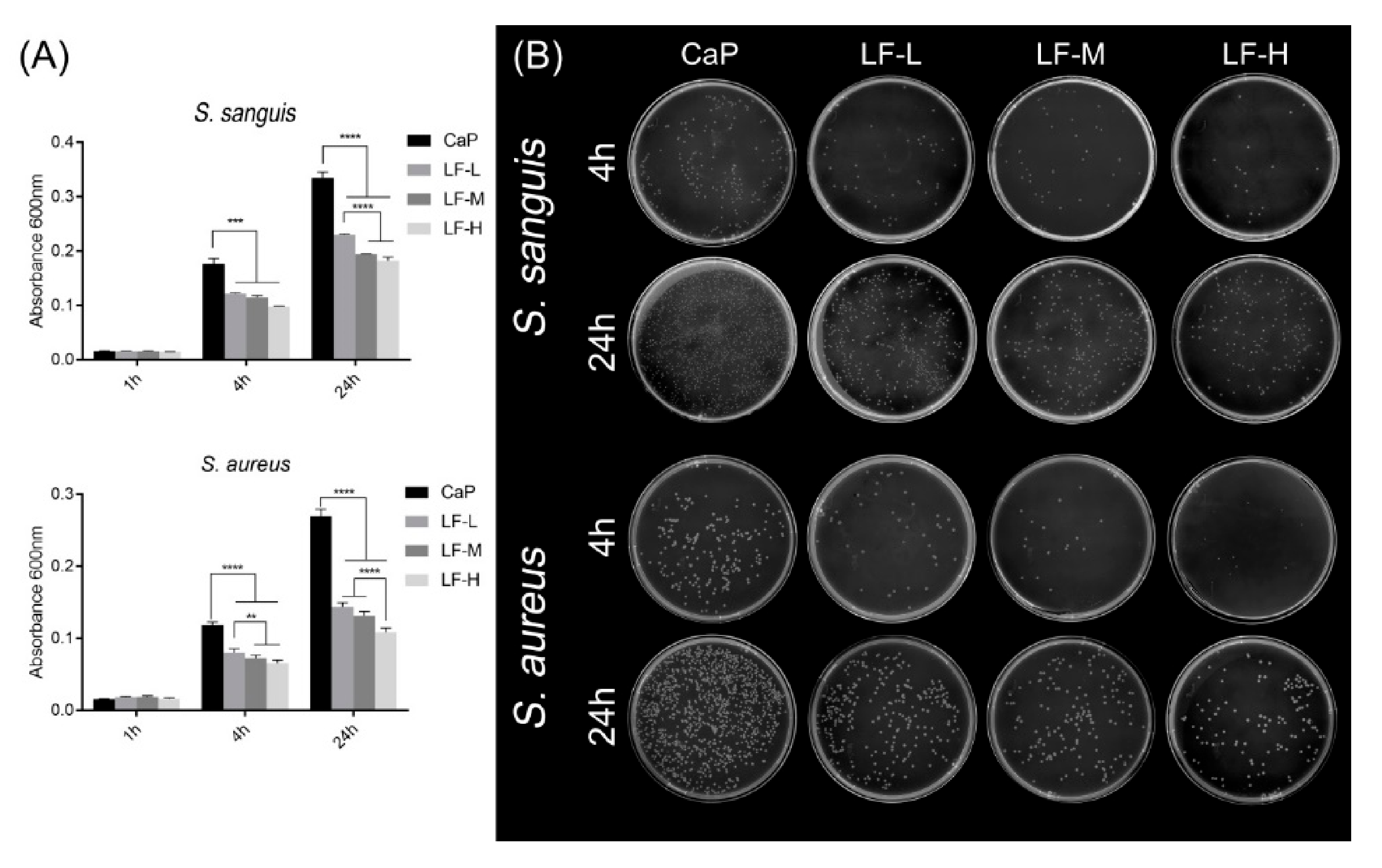 Materials 14 00992 g006