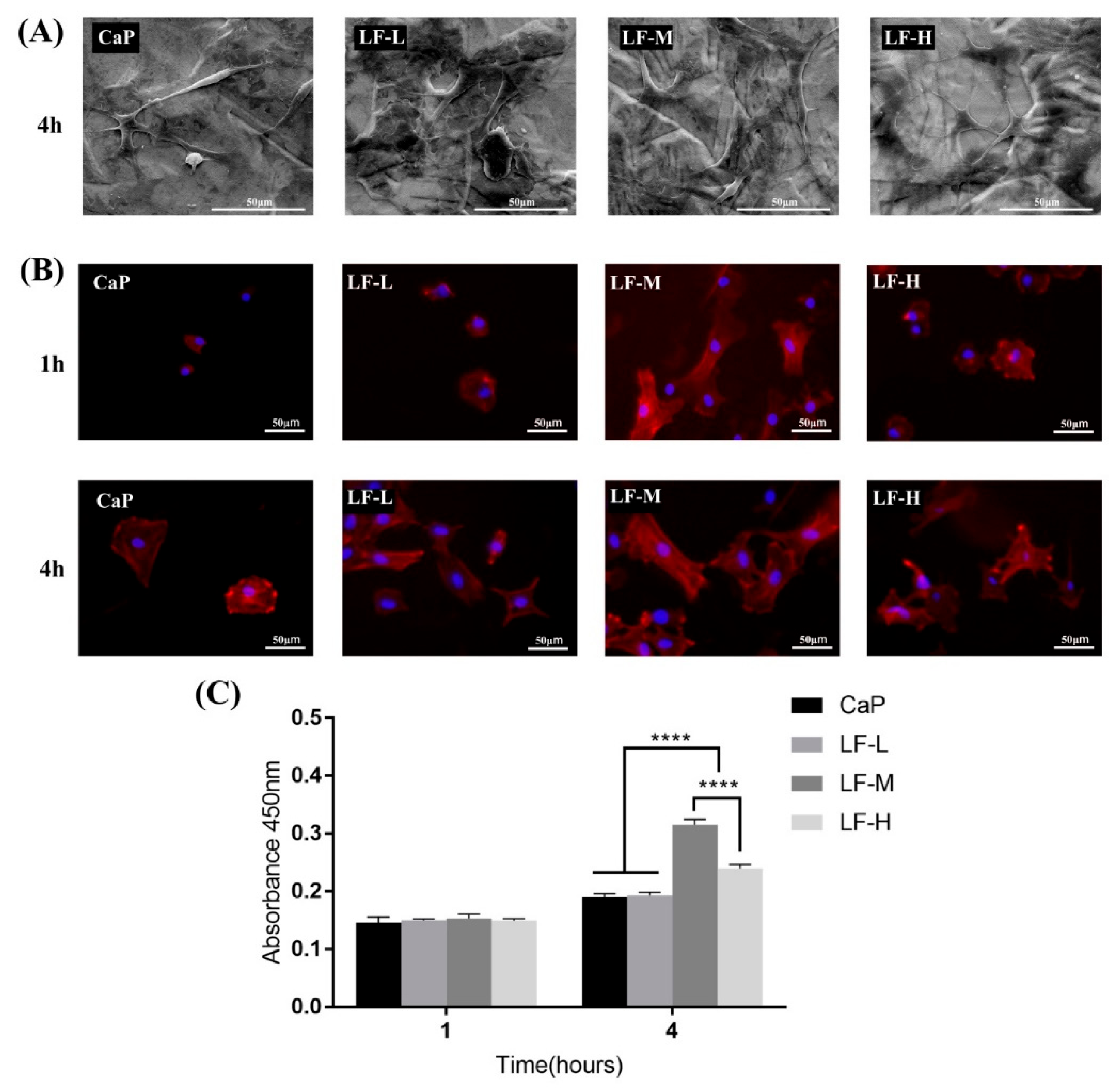 Materials 14 00992 g007