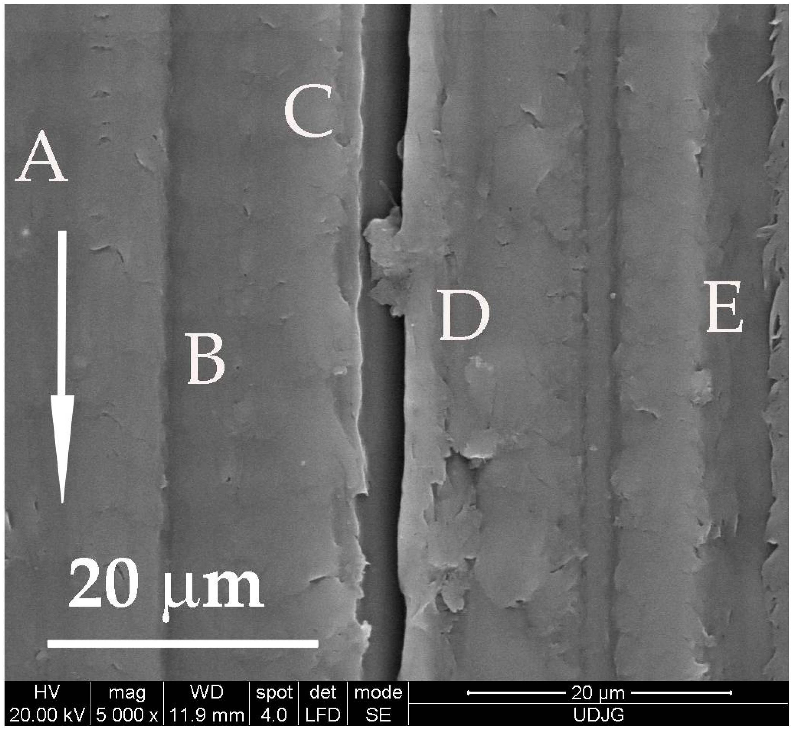 Materials 14 00997 g010