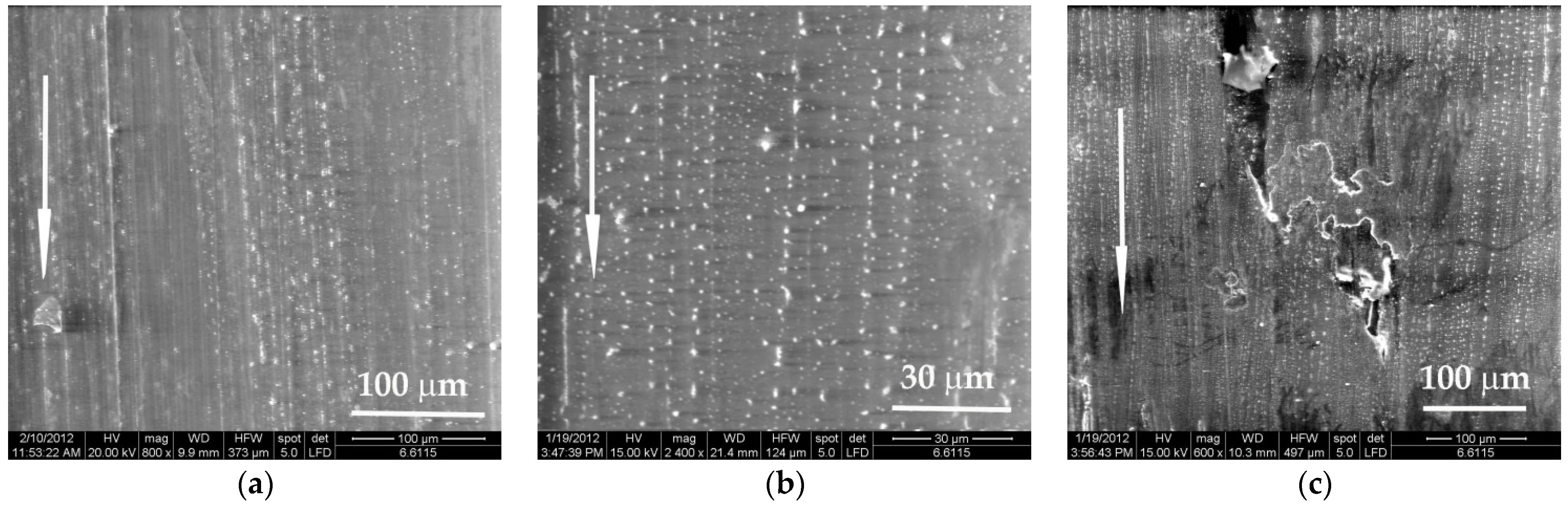 Materials 14 00997 g013