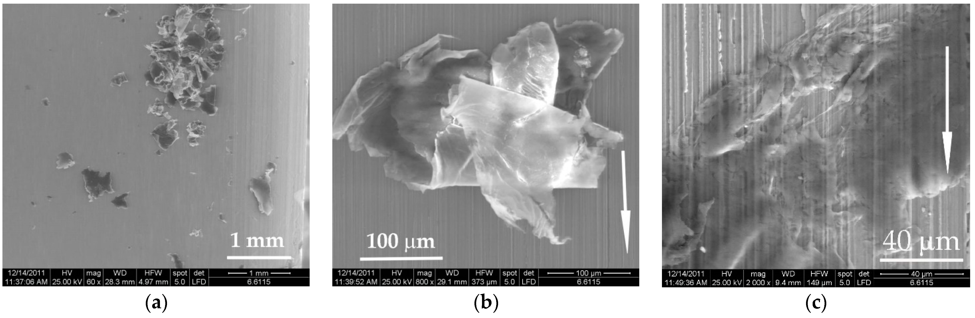 Materials 14 00997 g014