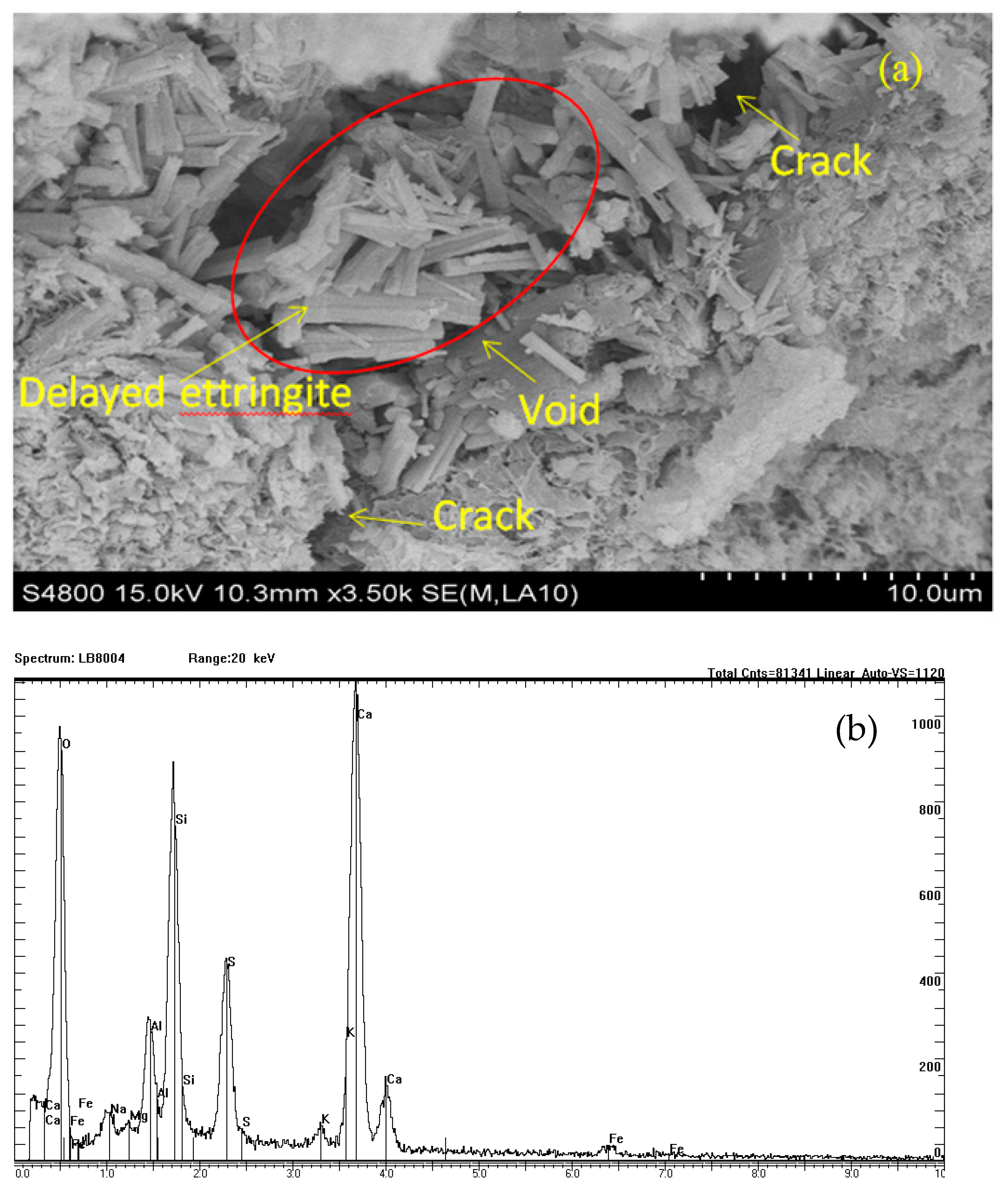 Materials 14 01007 g001 Materials 14 01007 g001