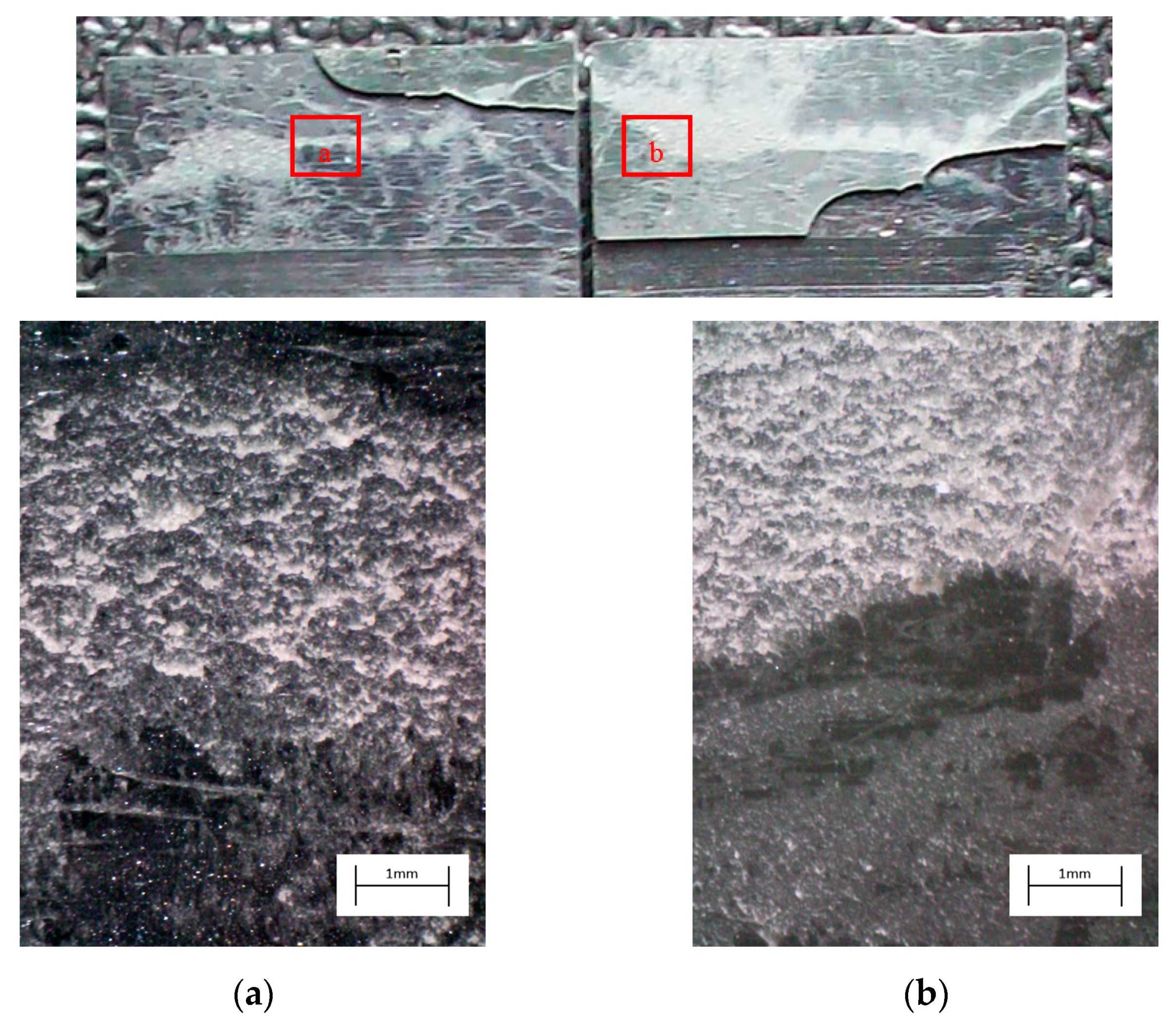 Materials 14 01008 g025 Materials 14 01008 g025