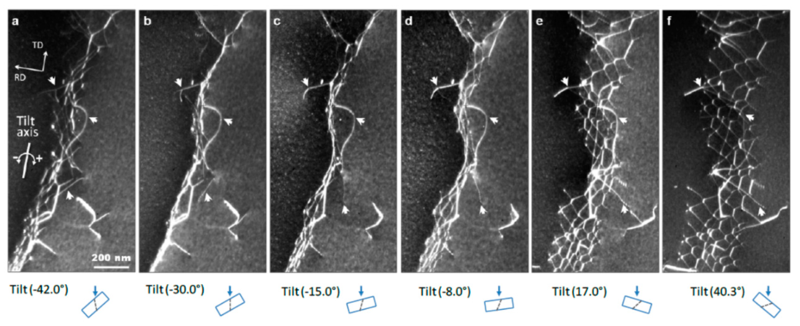 Materials 14 01012 g007 Materials 14 01012 g007
