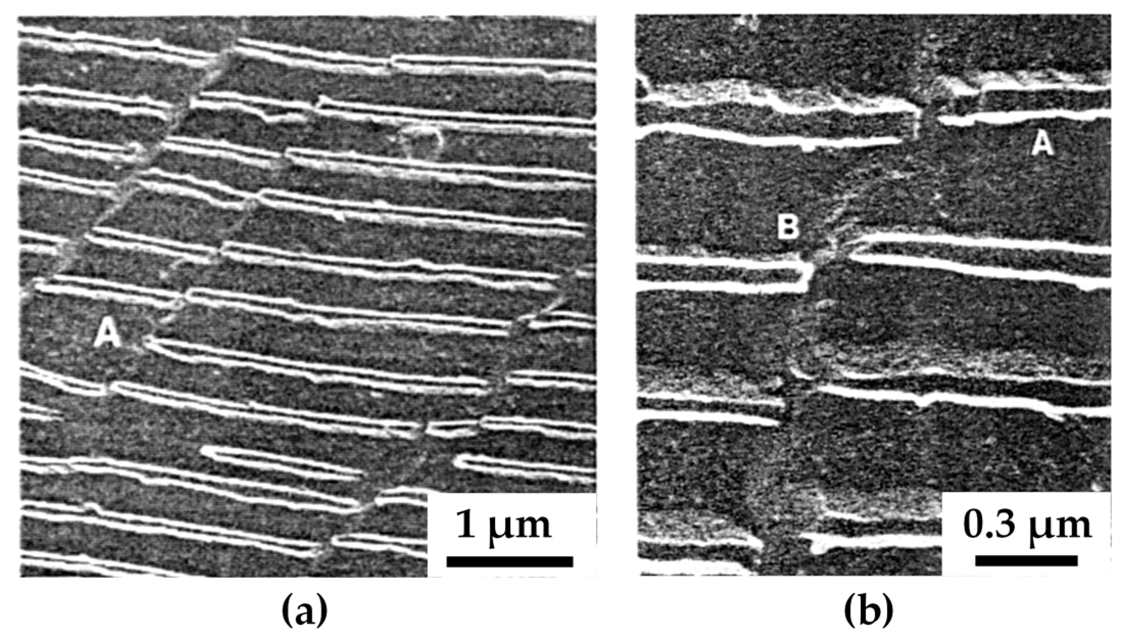 Materials 14 01012 g024 Materials 14 01012 g024