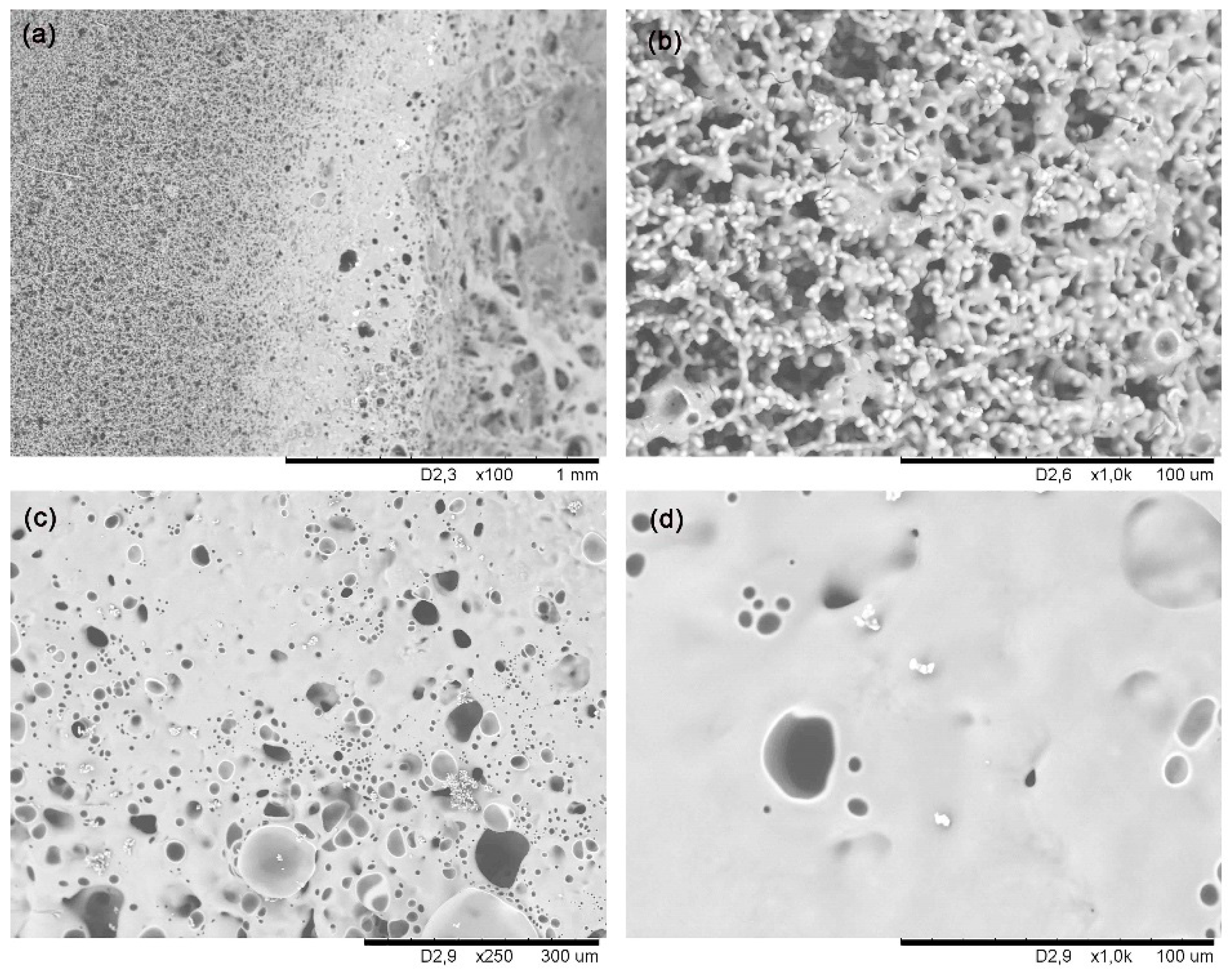 Materials 14 01013 g005