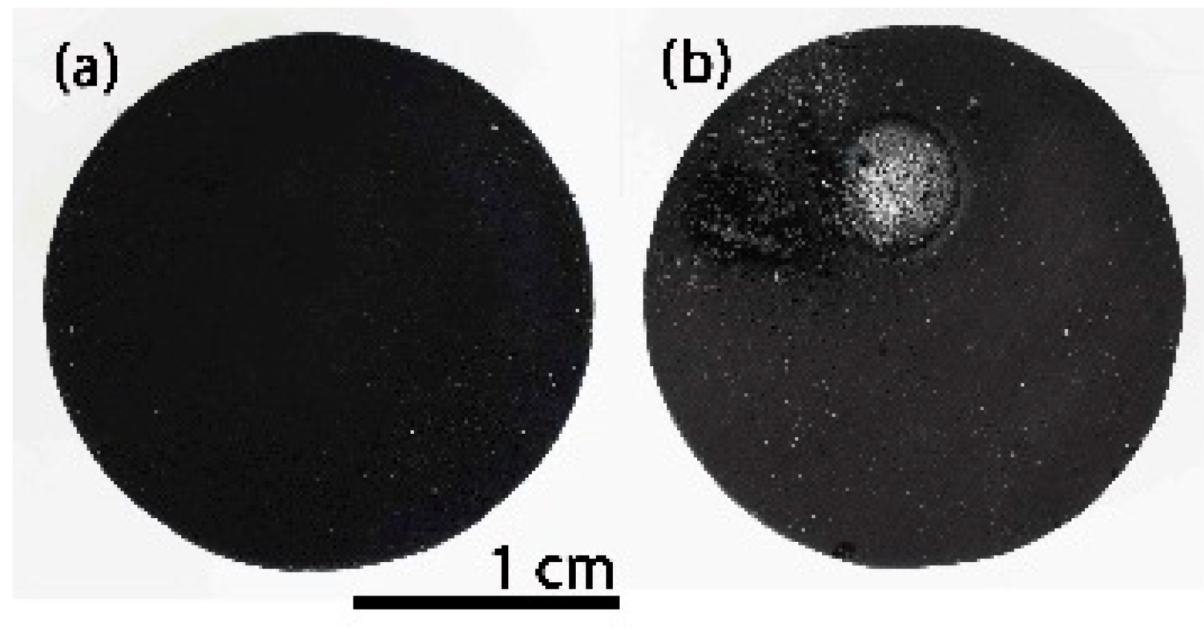 Materials 14 01013 g007