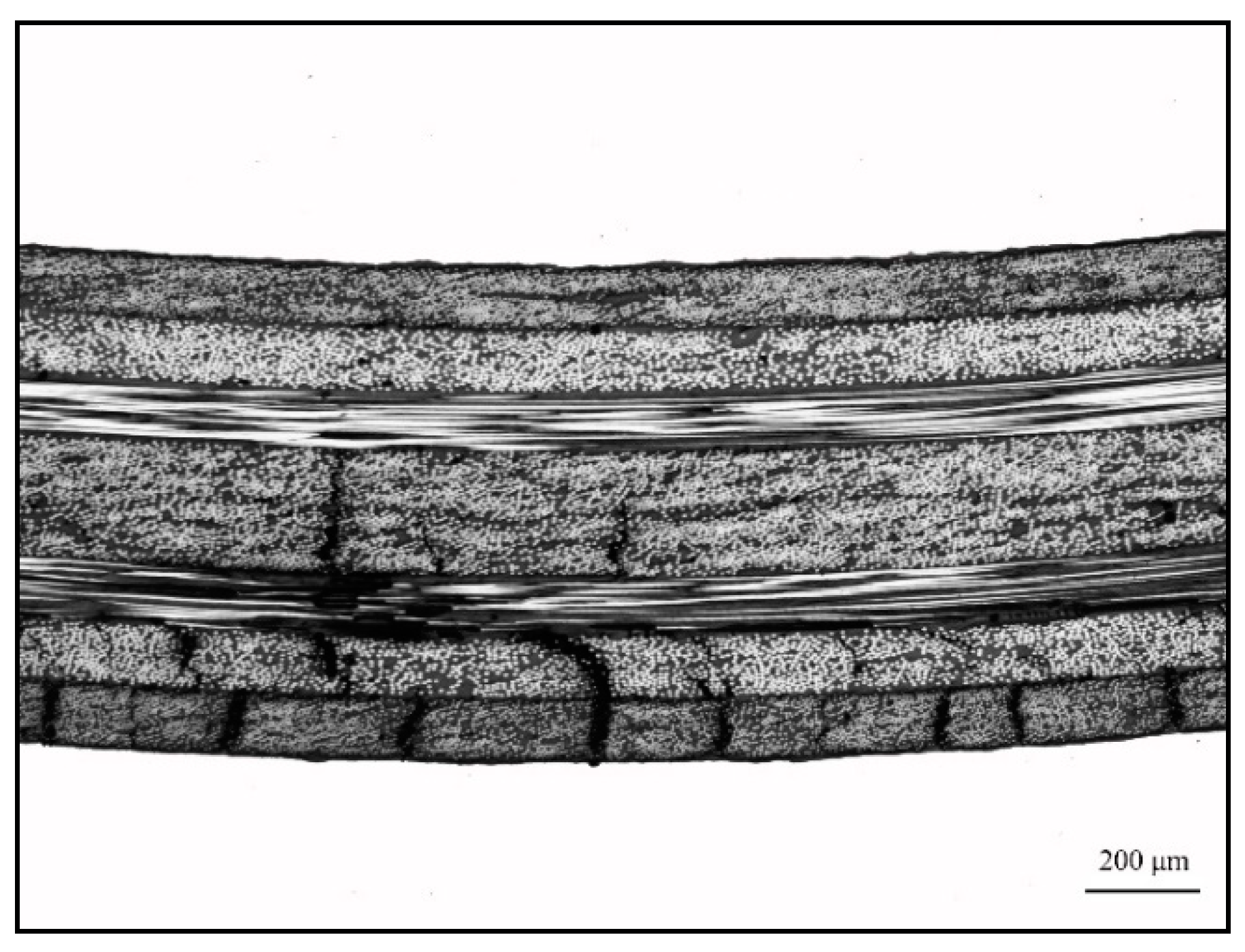 Materials 14 01019 g014 Materials 14 01019 g014