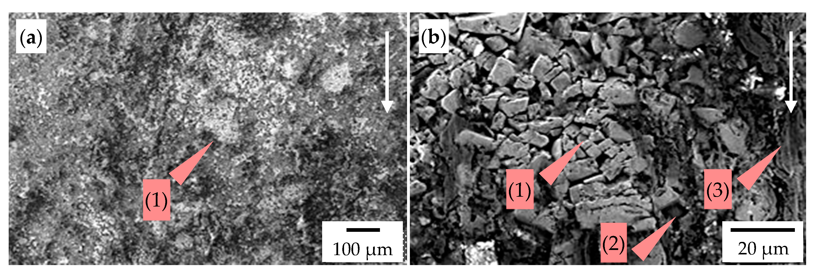 Materials 14 01020 g013 Materials 14 01020 g013
