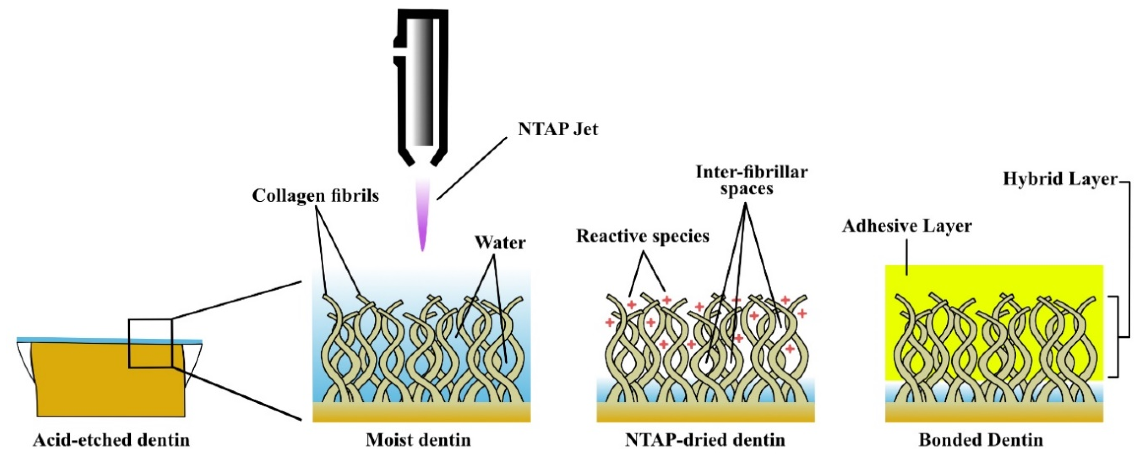 Materials 14 01026 g002
