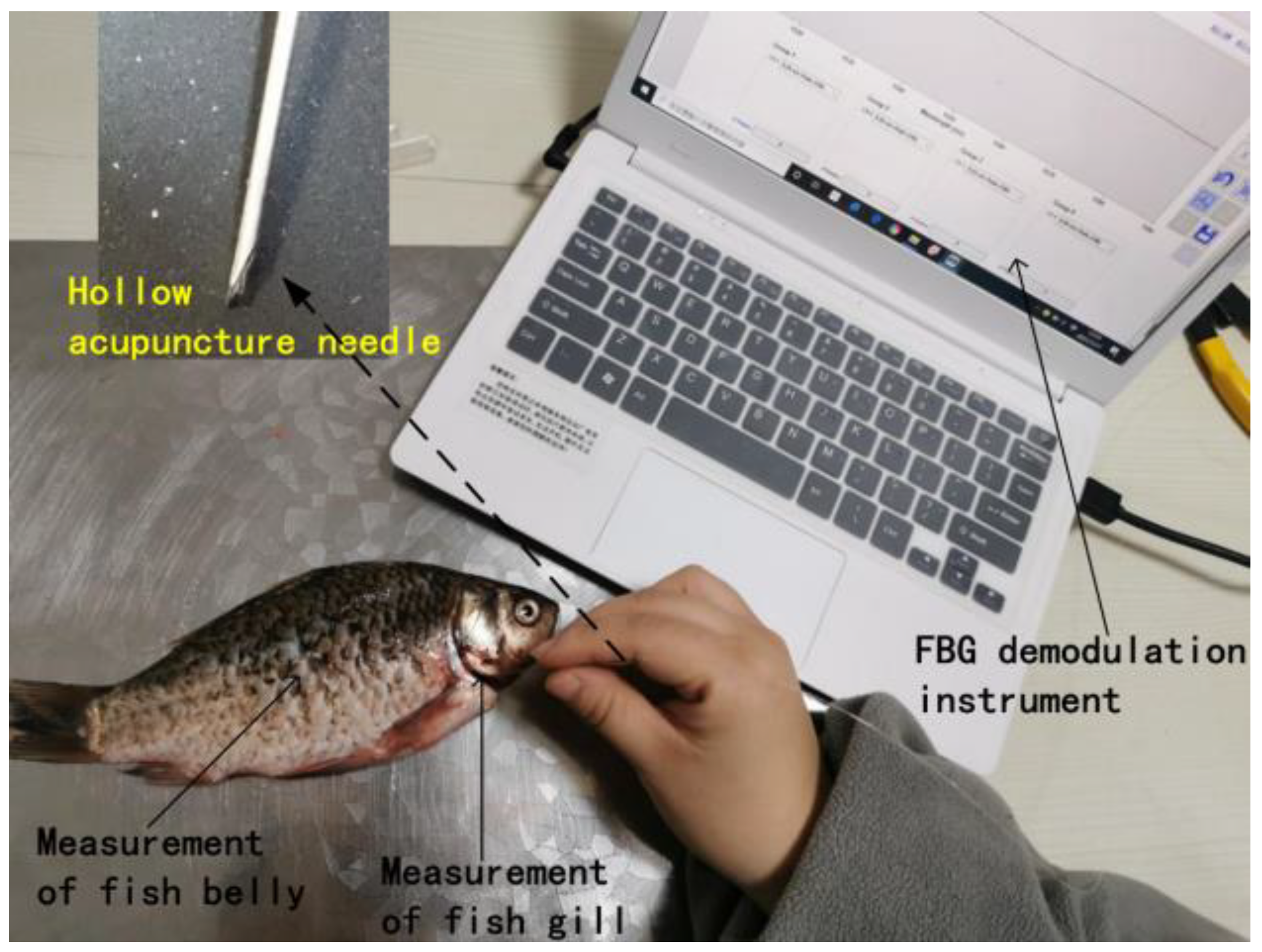 Materials 14 01028 g025