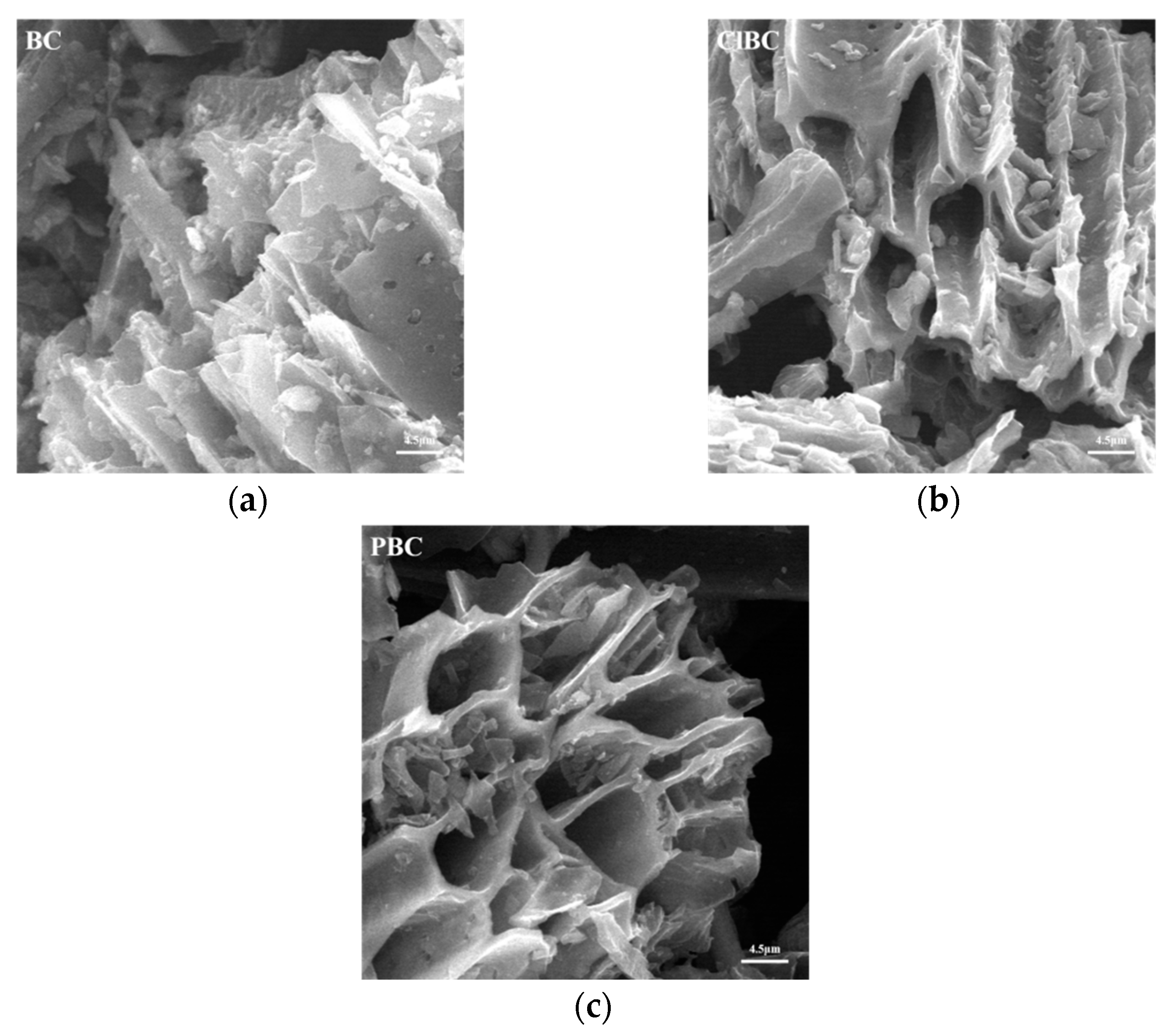 Materials 14 01033 g001 Materials 14 01033 g001