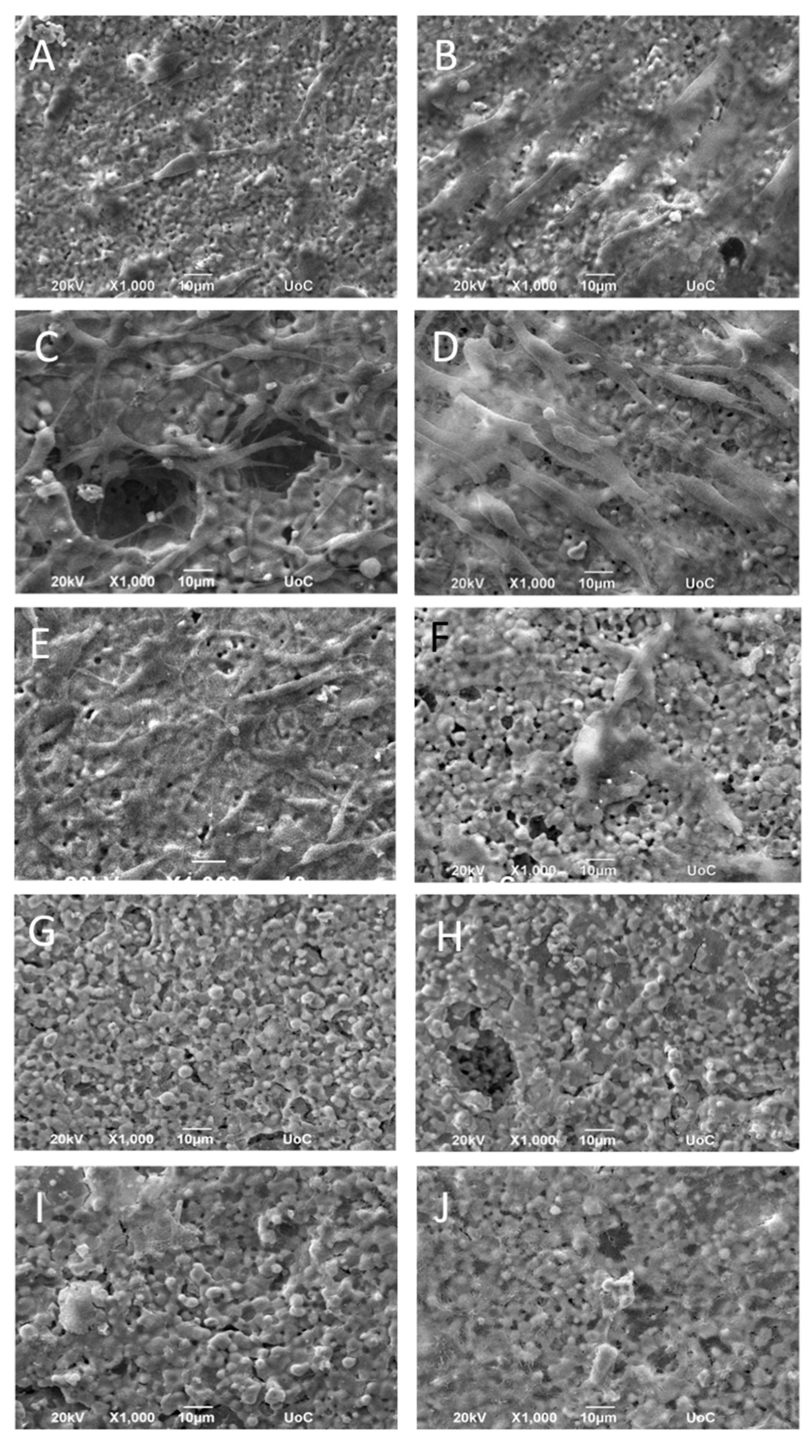 Materials 14 01049 g006 Materials 14 01049 g006