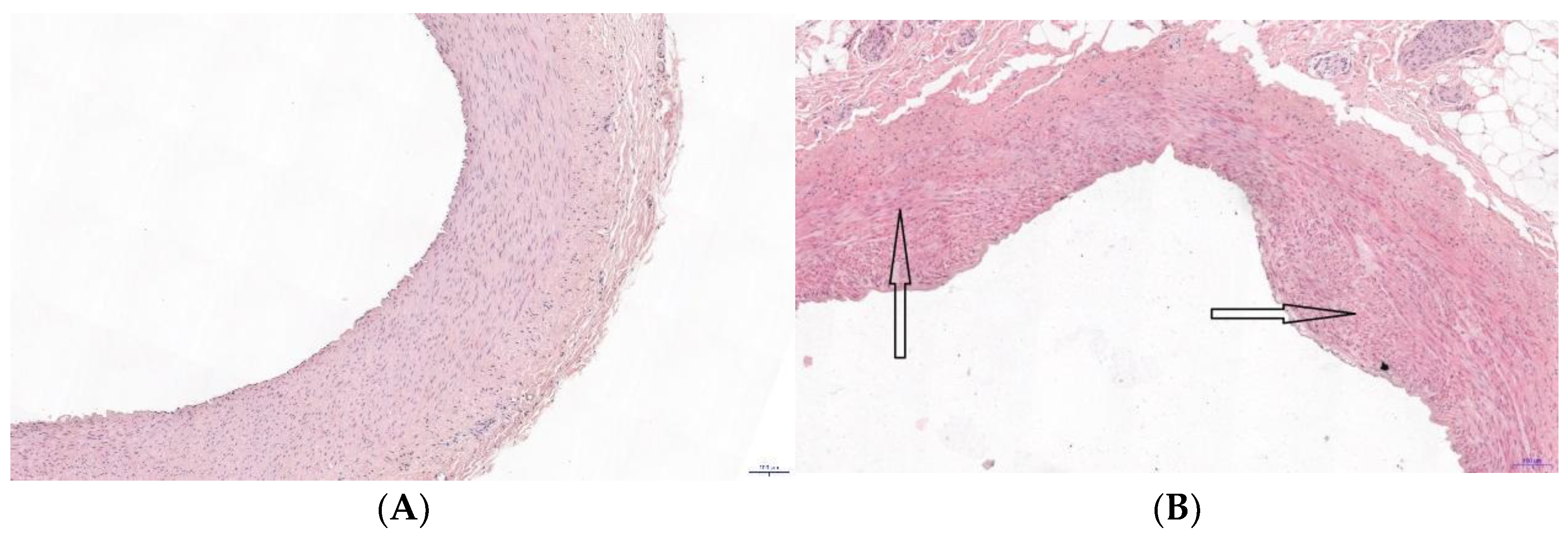 Materials 14 01050 g001