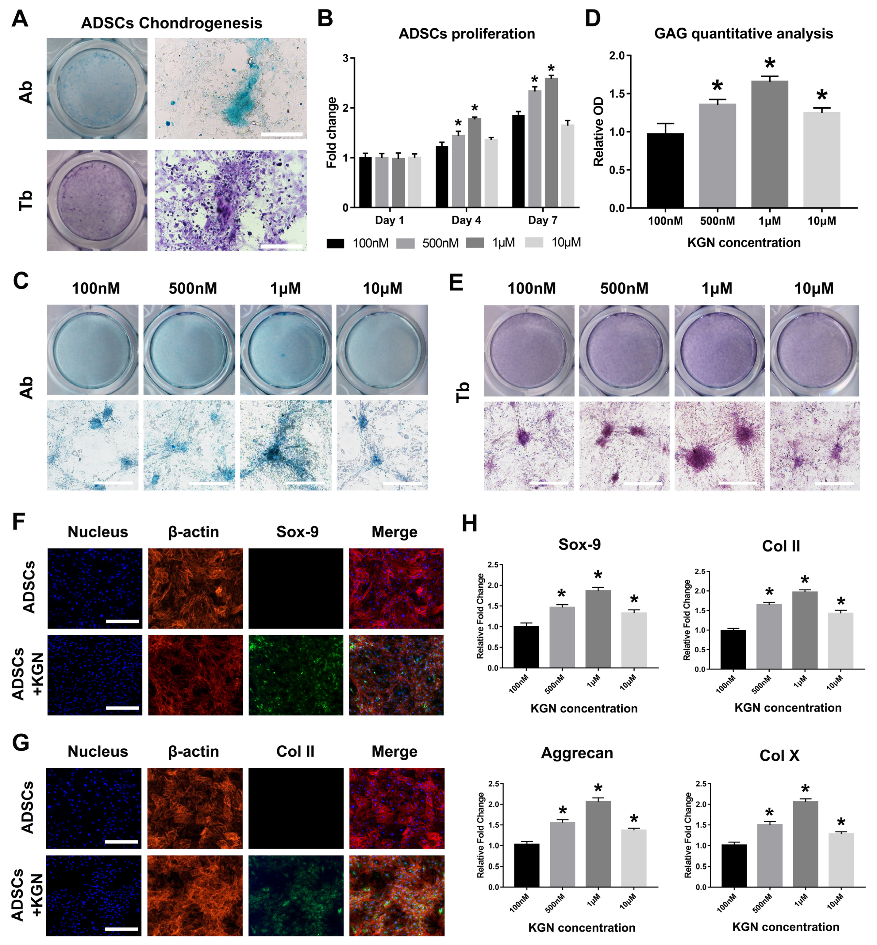 Materials 14 01053 g001