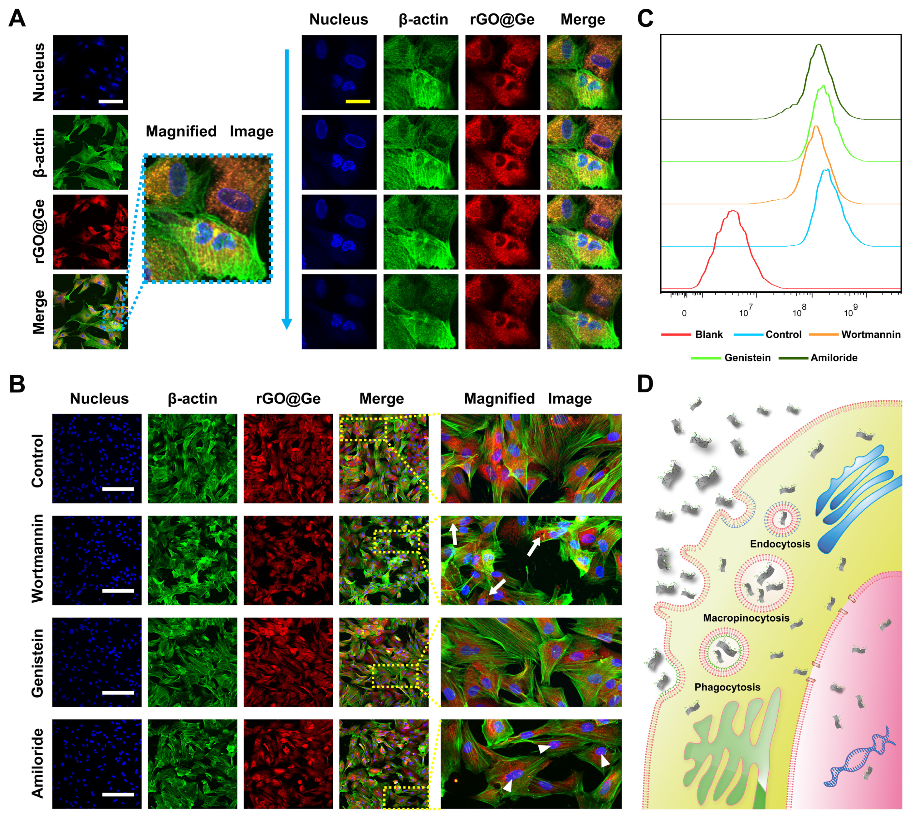 Materials 14 01053 g004