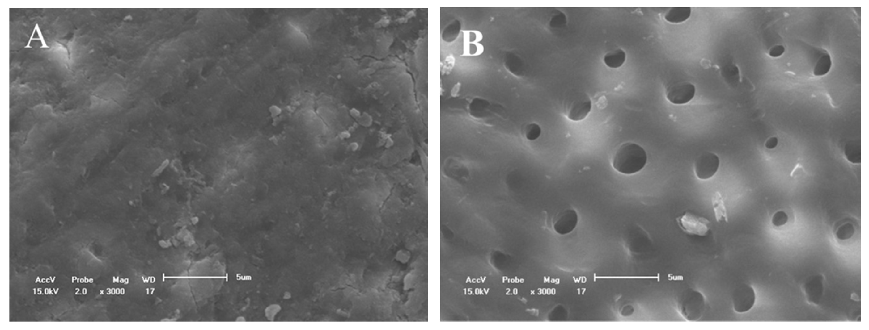 Materials 14 01056 g002 Materials 14 01056 g002