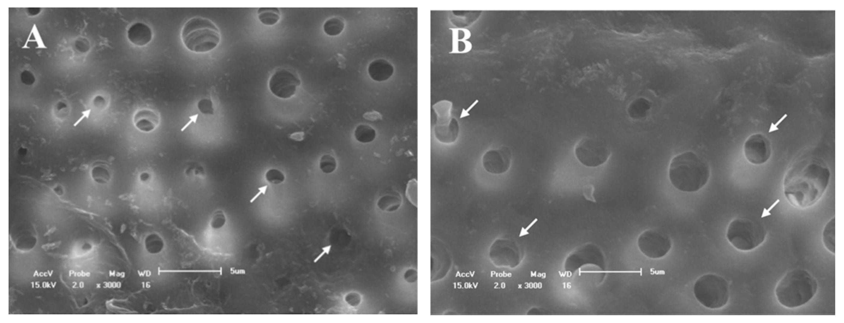 Materials 14 01056 g005 Materials 14 01056 g005