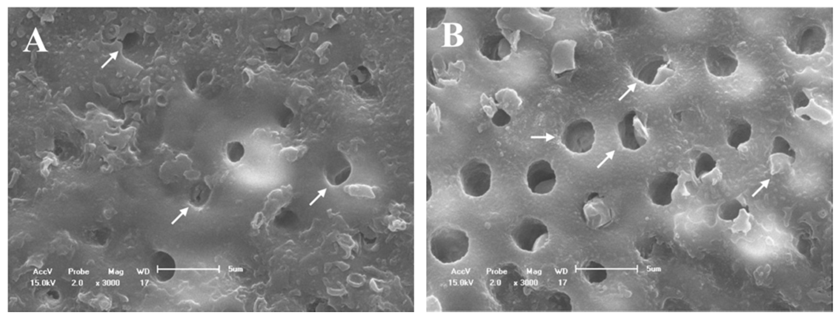 Materials 14 01056 g006 Materials 14 01056 g006