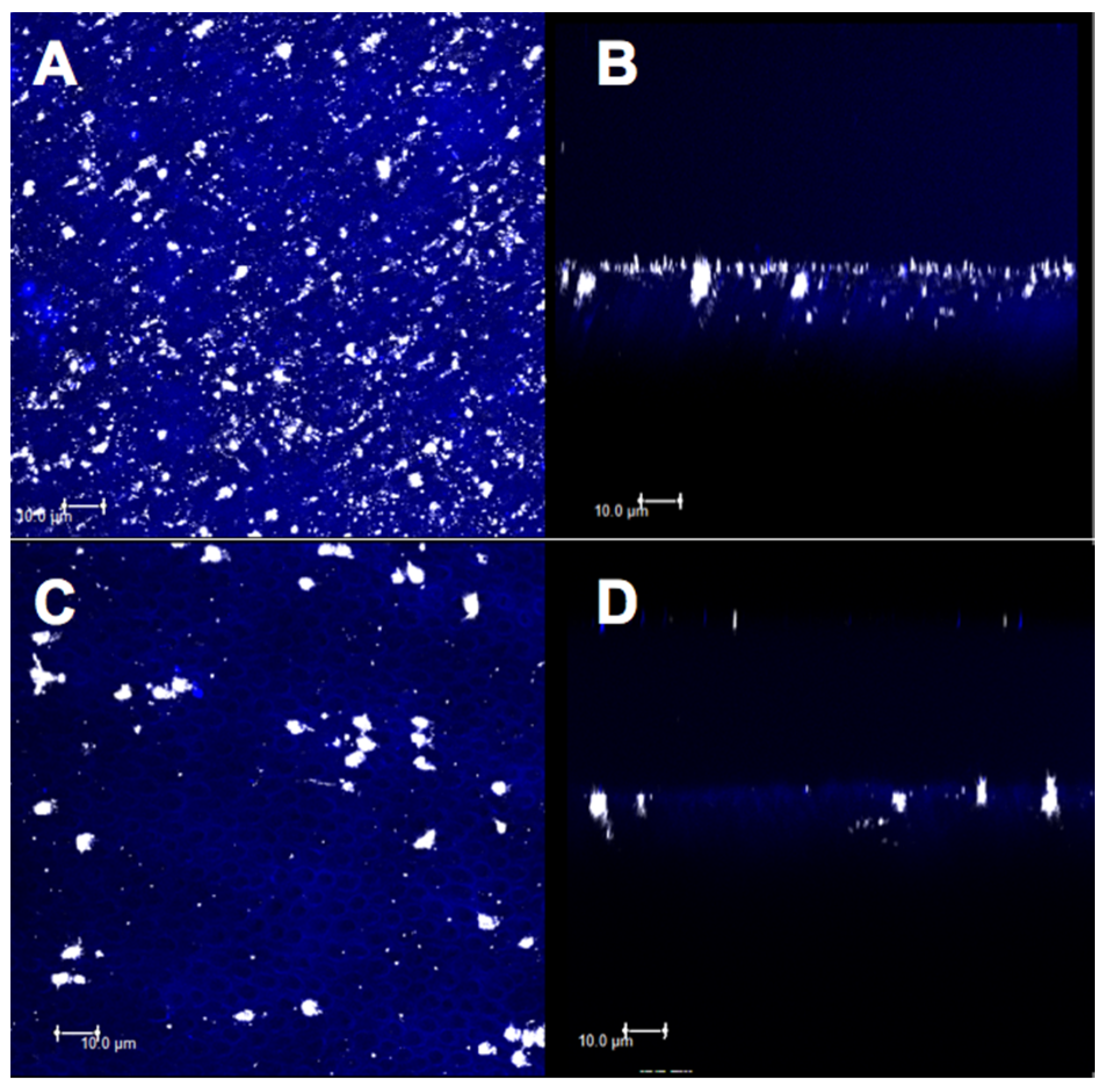 Materials 14 01056 g007 Materials 14 01056 g007