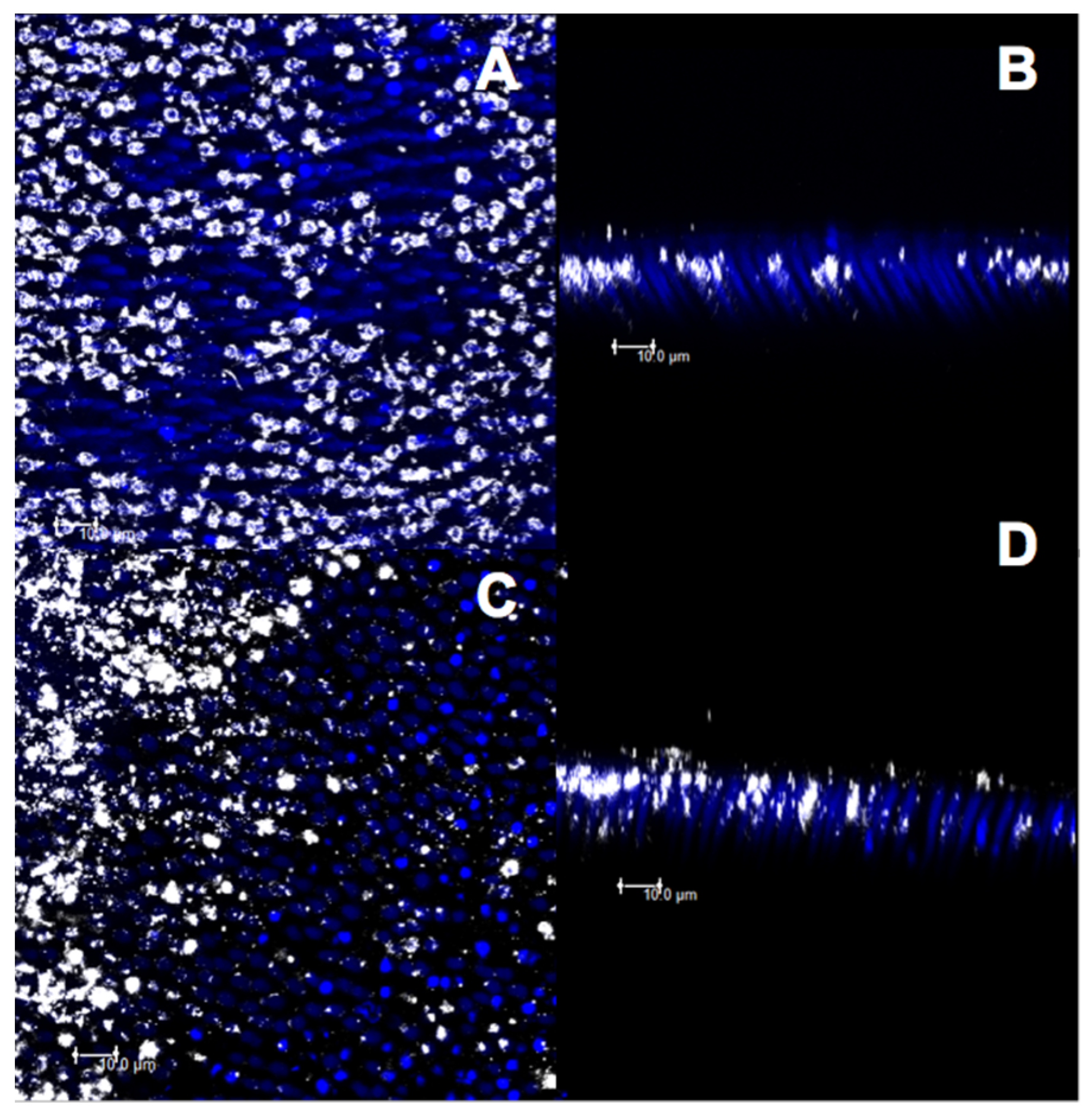 Materials 14 01056 g008 Materials 14 01056 g008