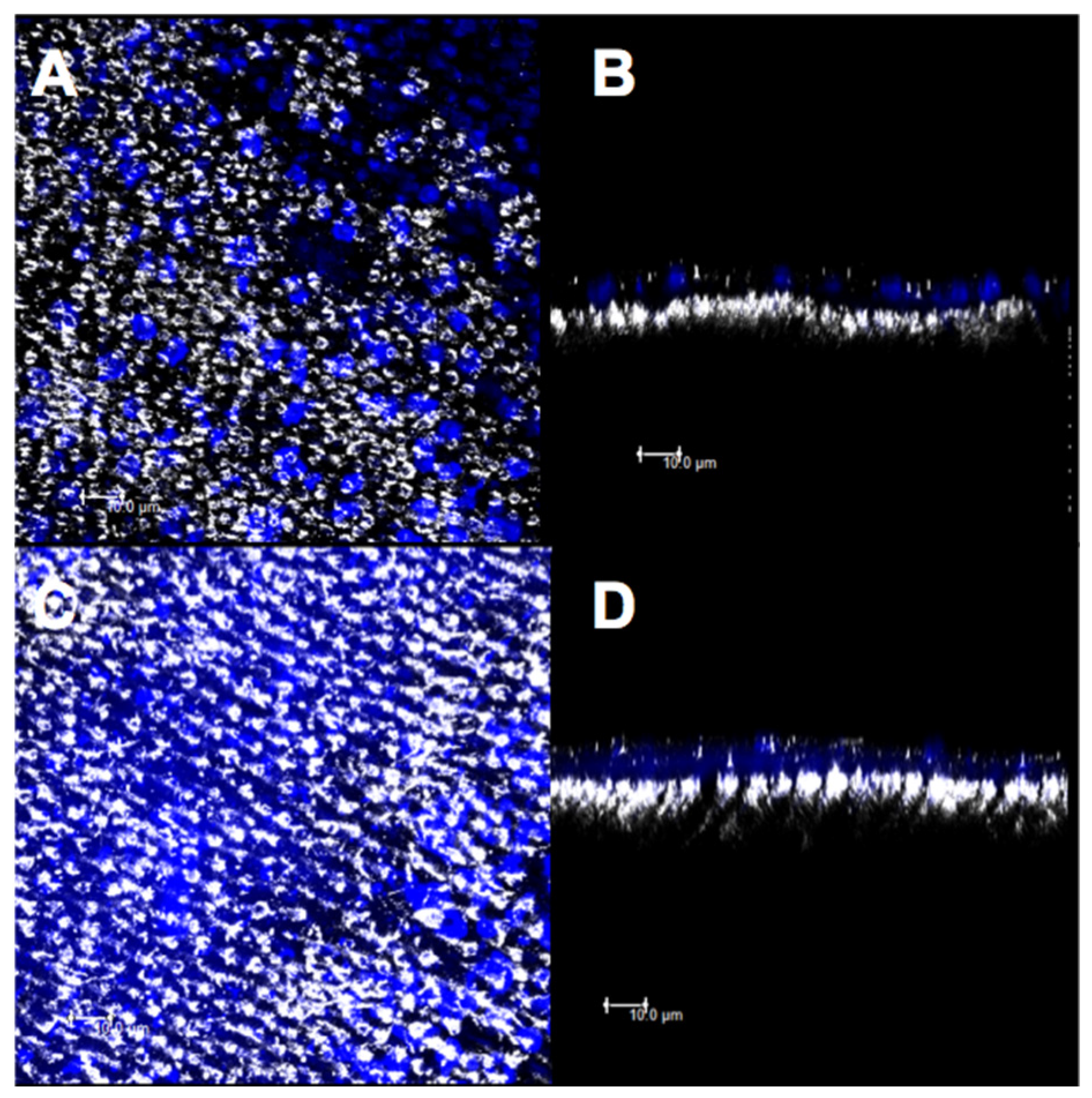 Materials 14 01056 g009 Materials 14 01056 g009