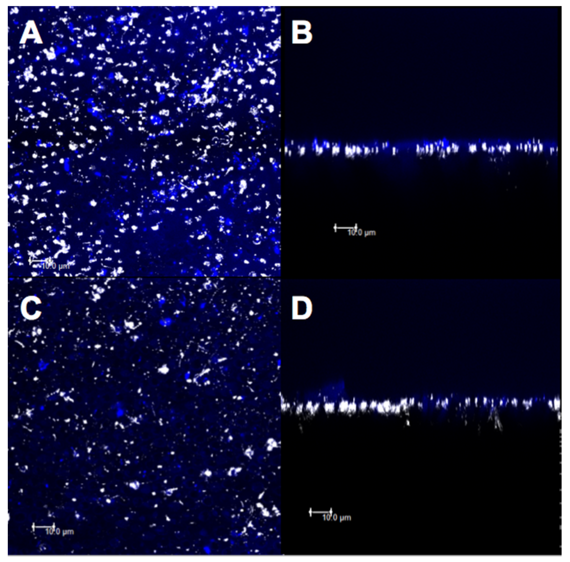 Materials 14 01056 g011 Materials 14 01056 g011