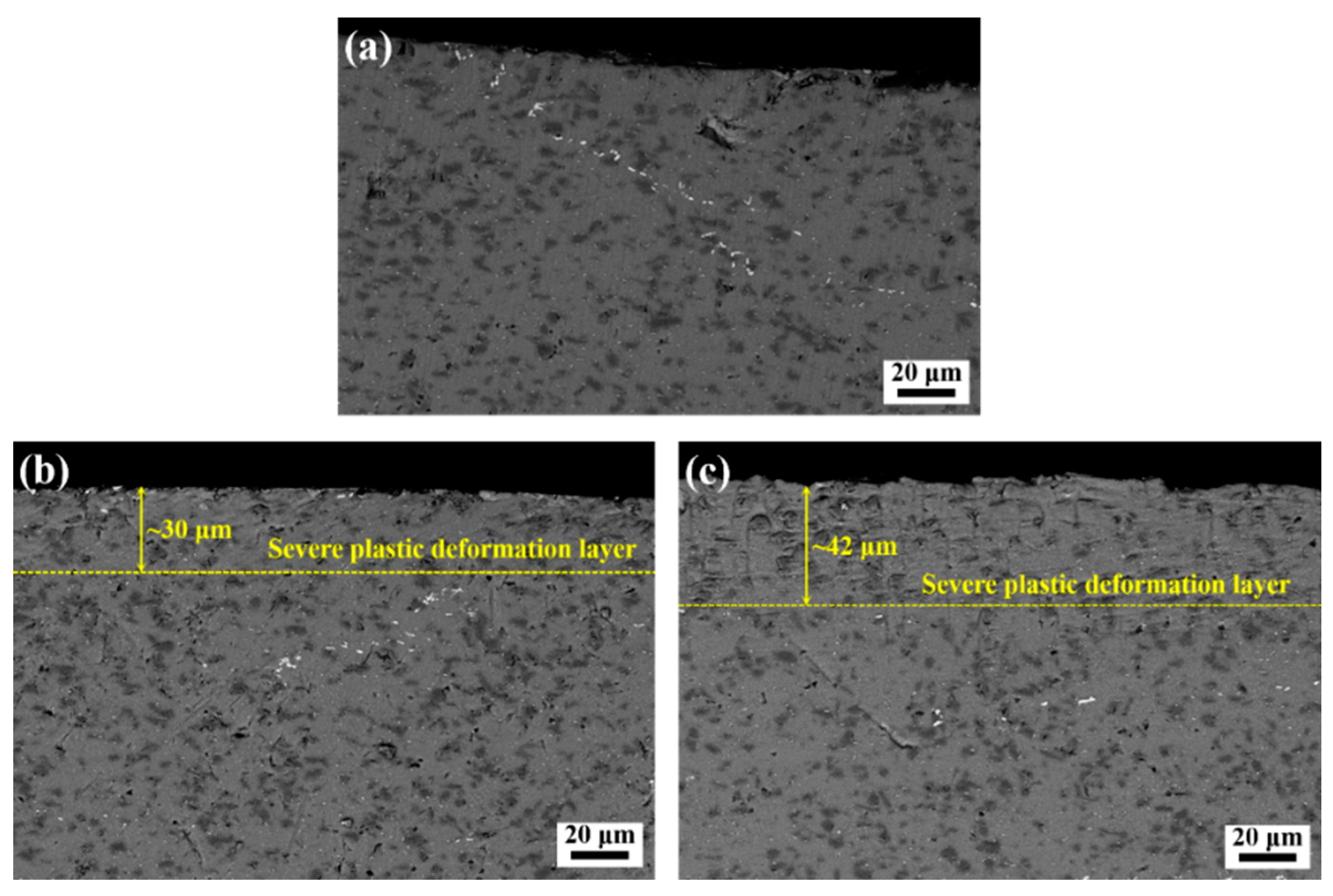 Materials 14 01082 g002 Materials 14 01082 g002