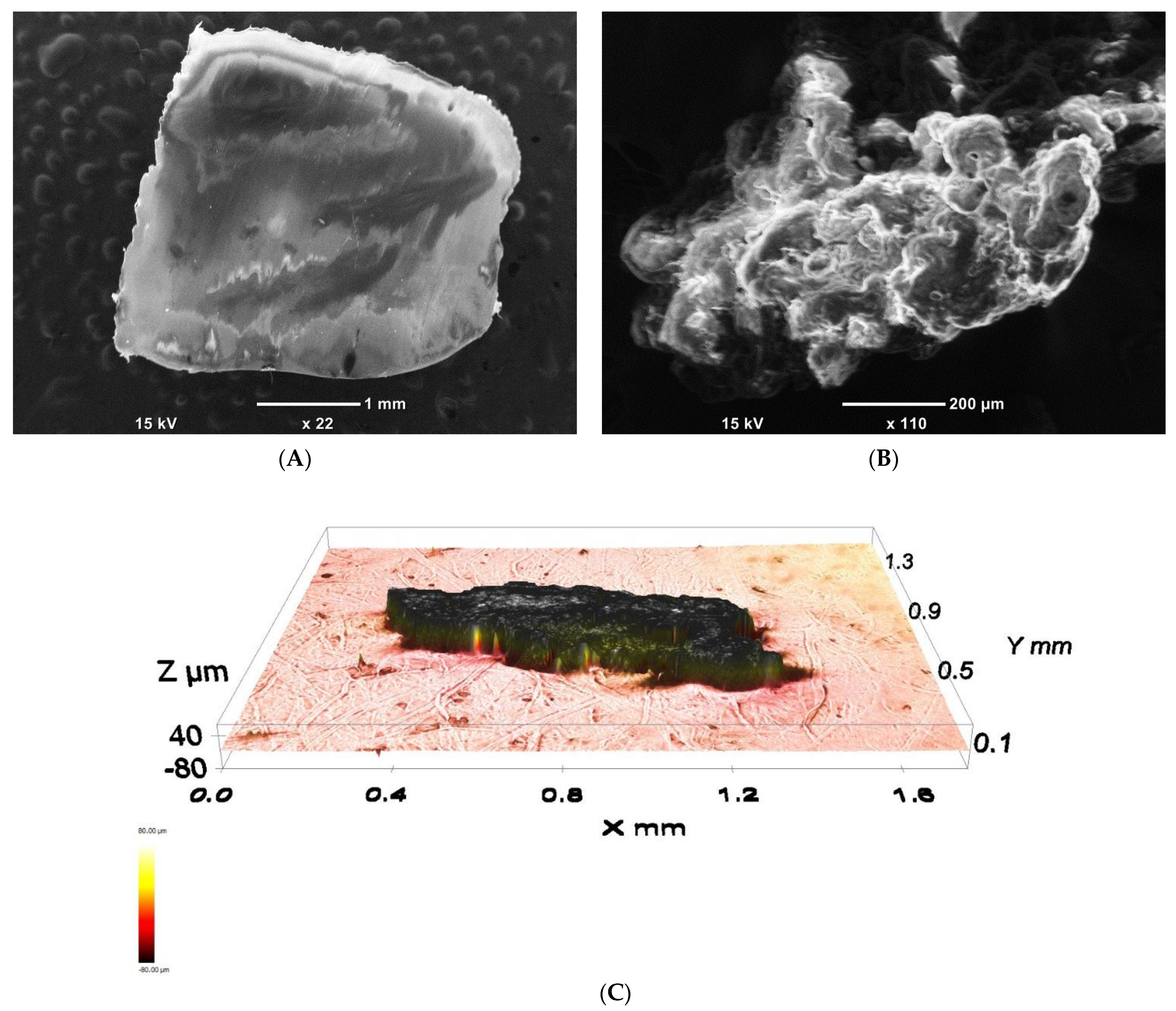 Materials 14 01086 g004 Materials 14 01086 g004