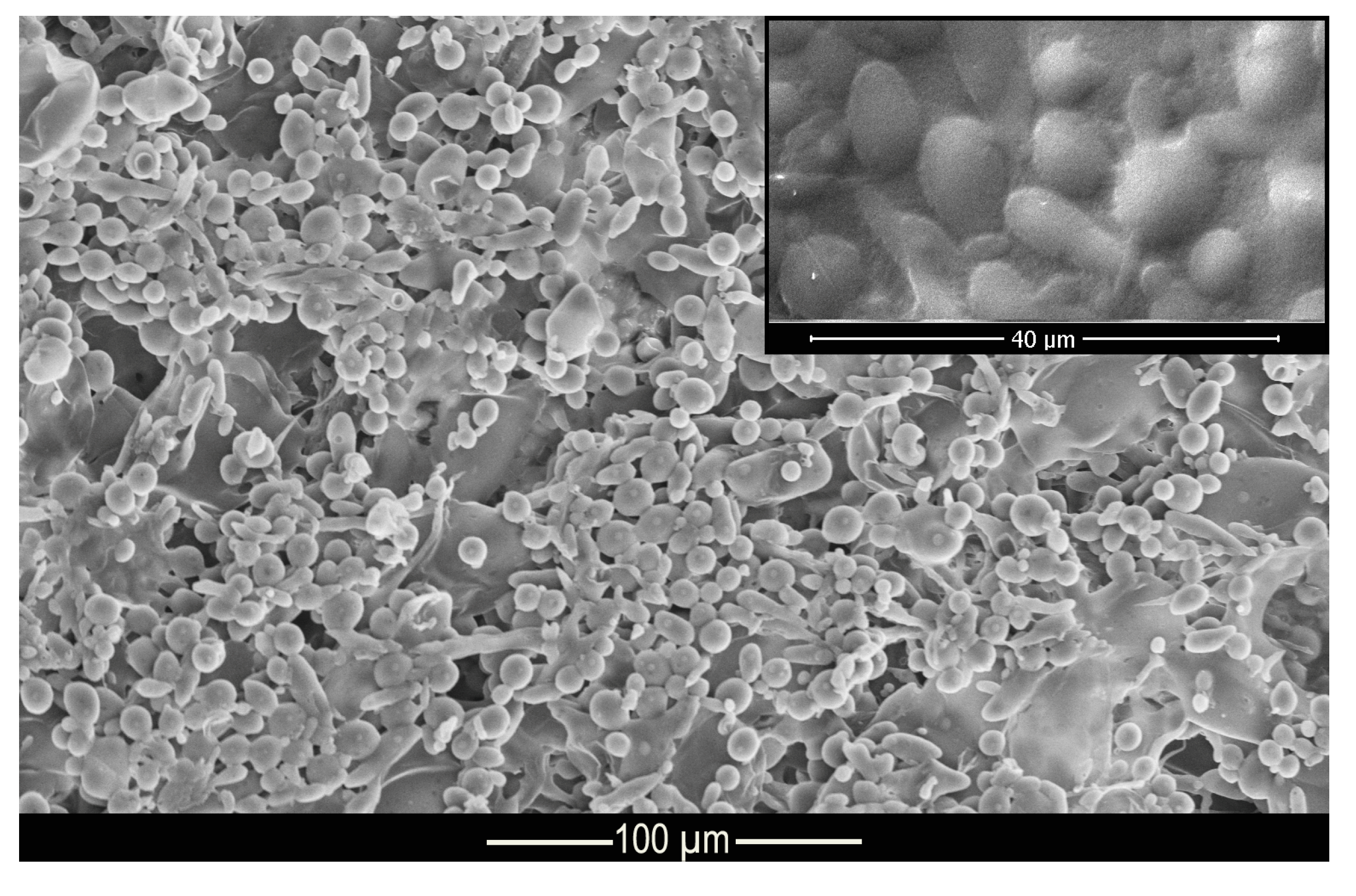 Materials 14 01087 g003