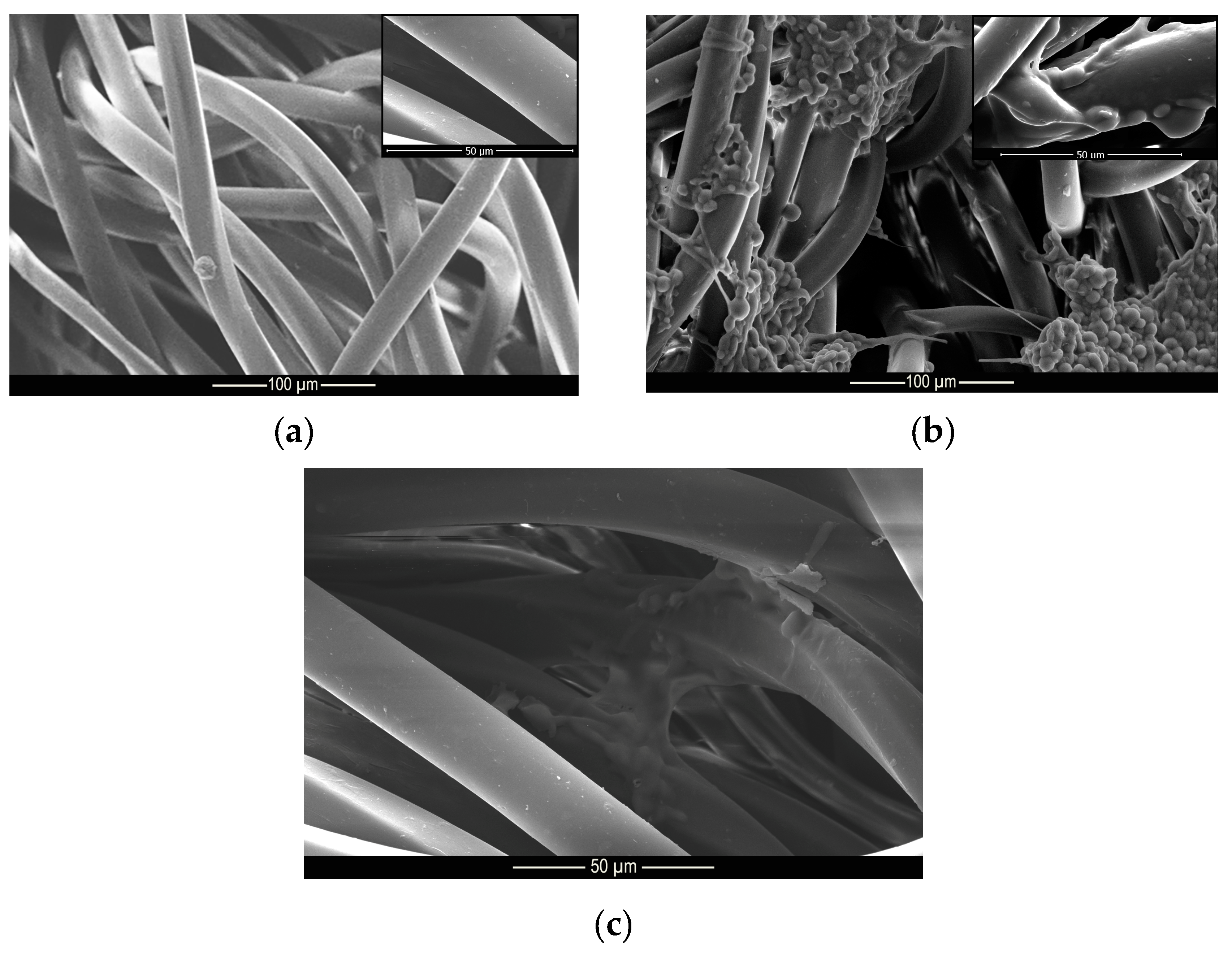 Materials 14 01087 g009