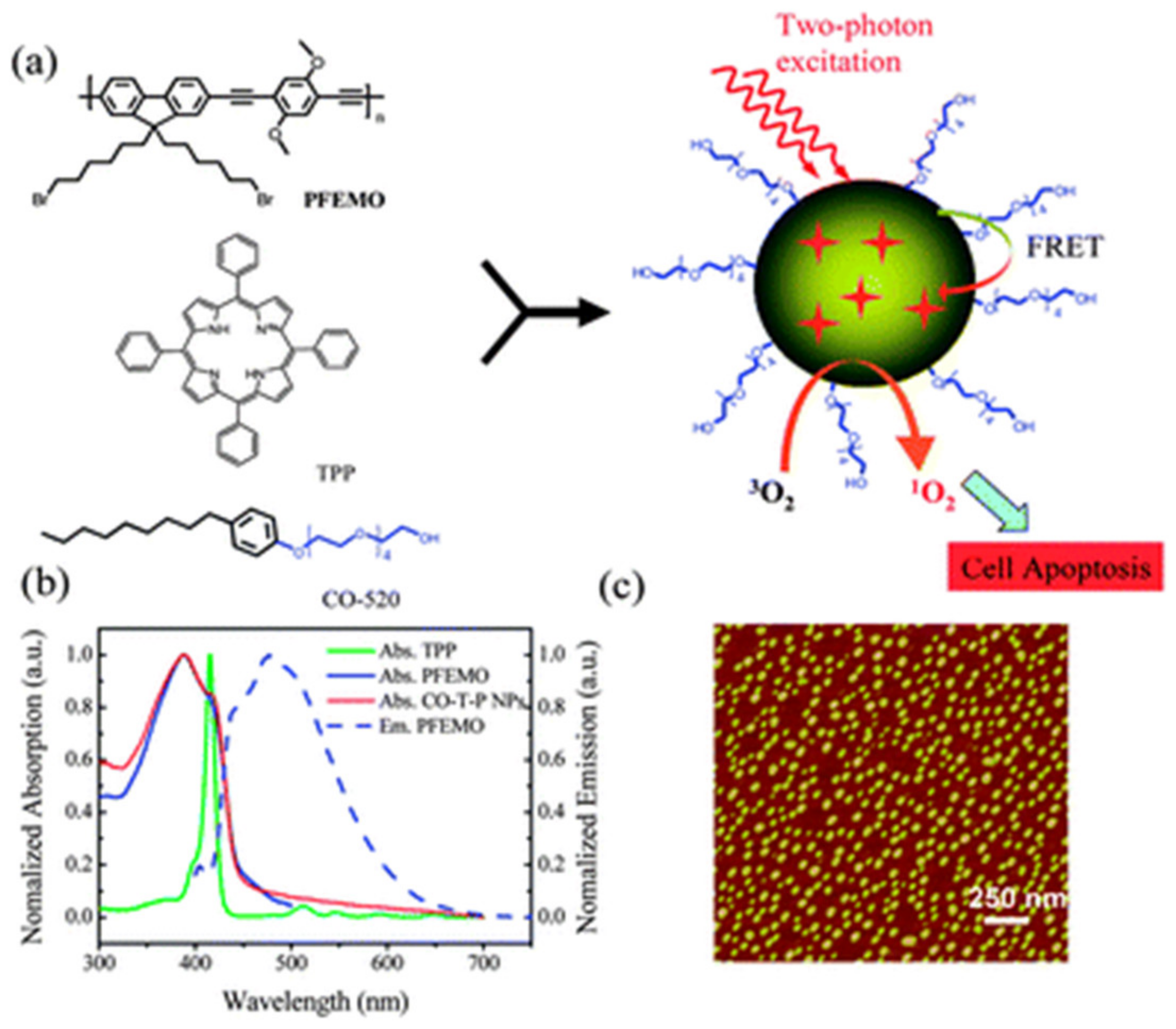 Materials Free Full Text New Approach In The Application Of Conjugated Polymers The Light Activated Source Of Versatile Singlet Oxygen Molecule Html
