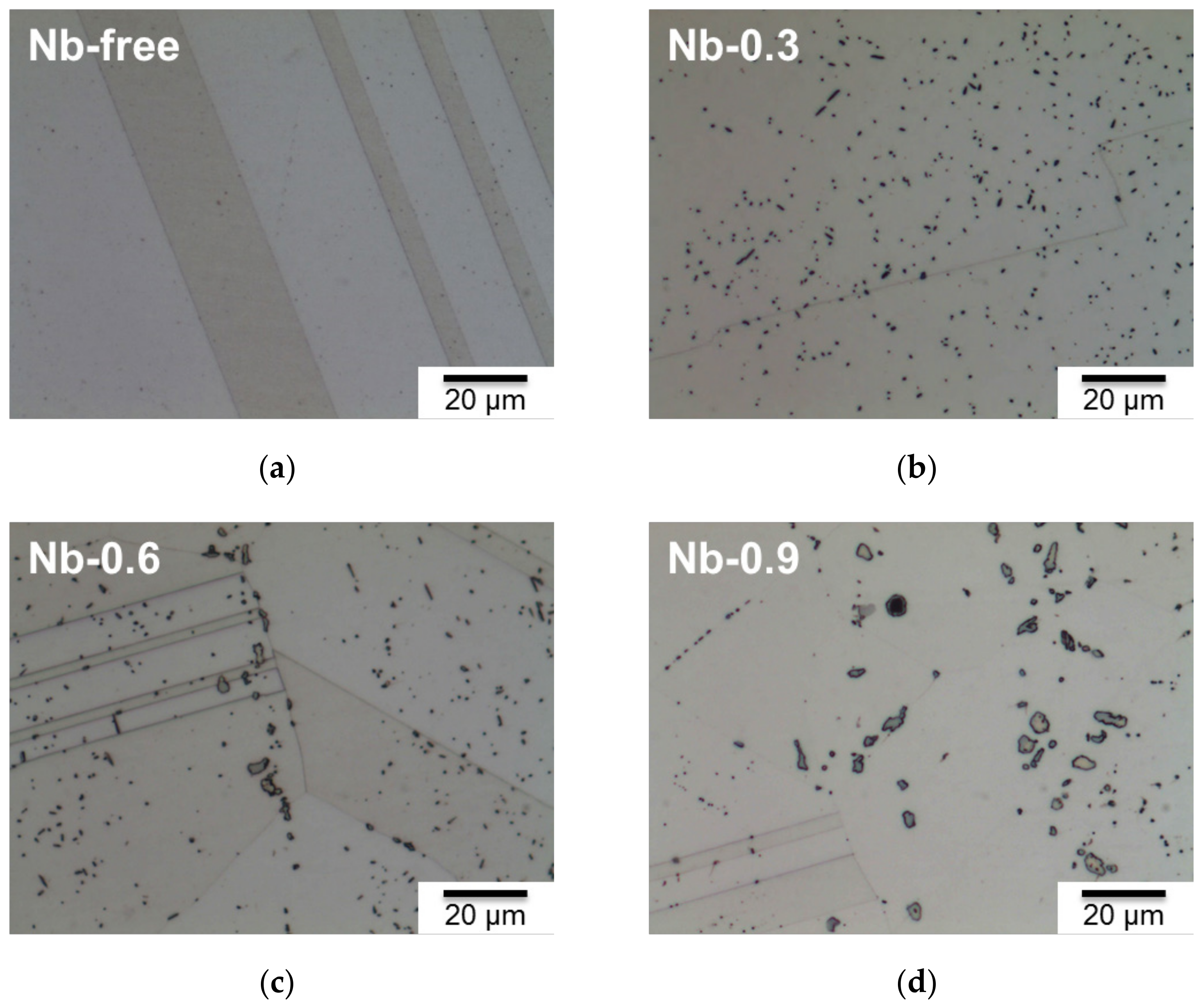 Materials 14 01104 g001 Materials 14 01104 g001