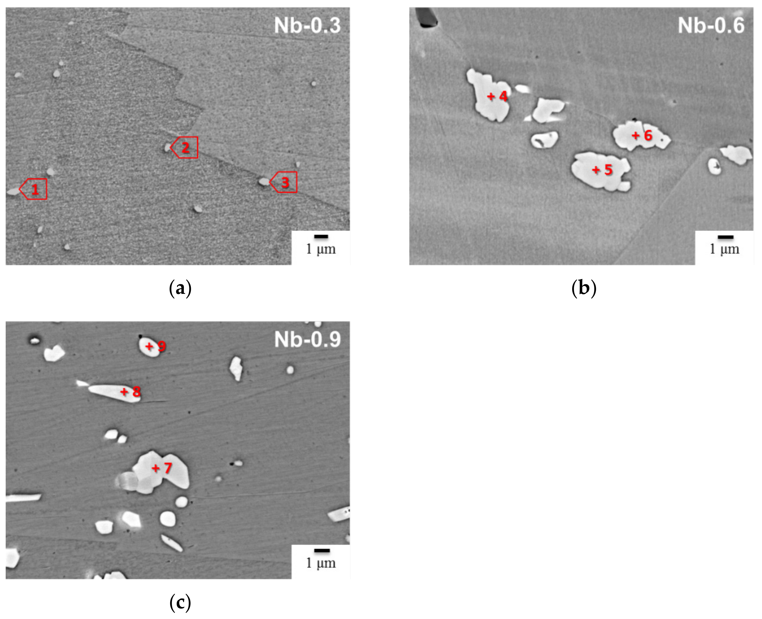 Materials 14 01104 g004 Materials 14 01104 g004