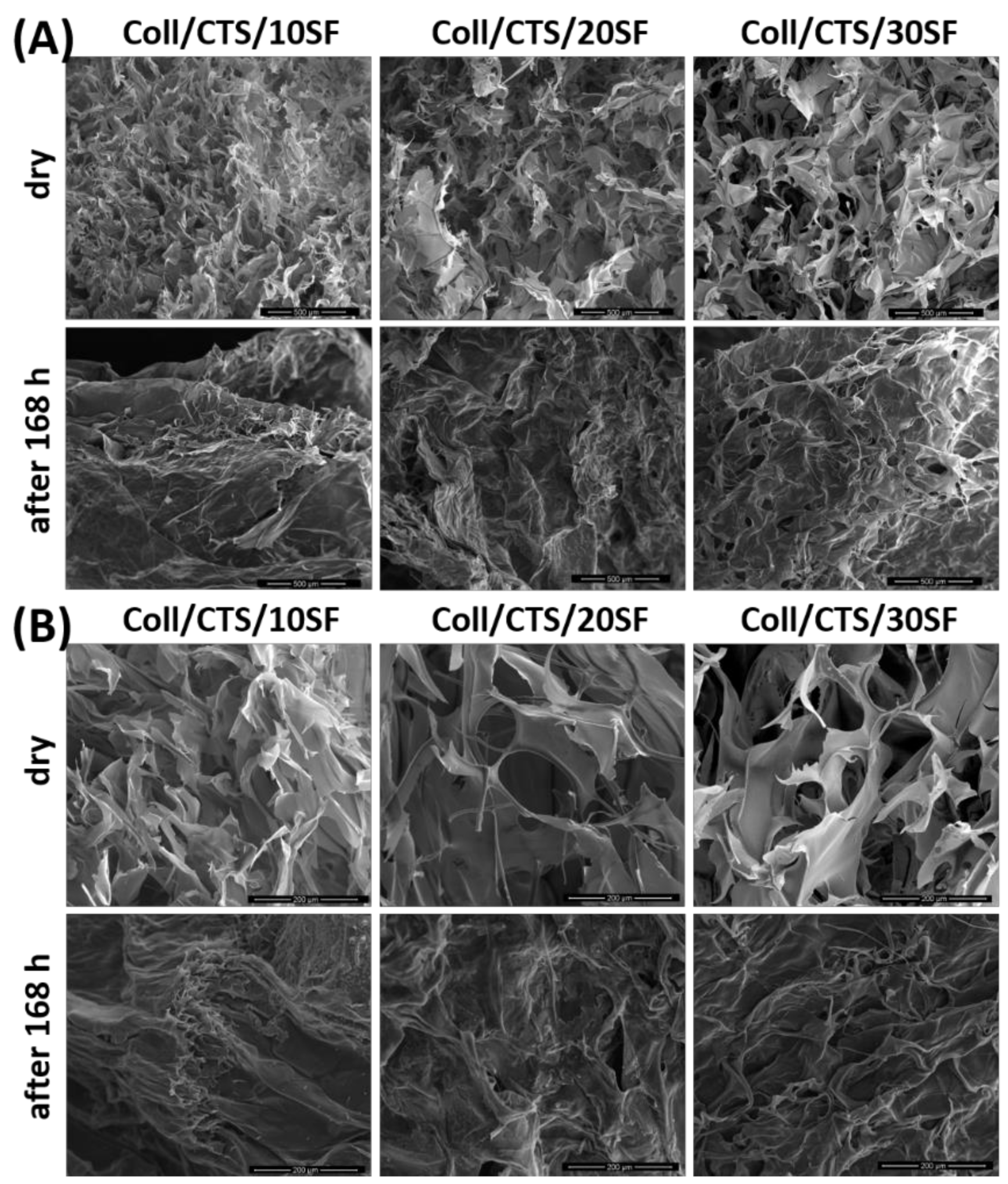 Materials 14 01105 g008