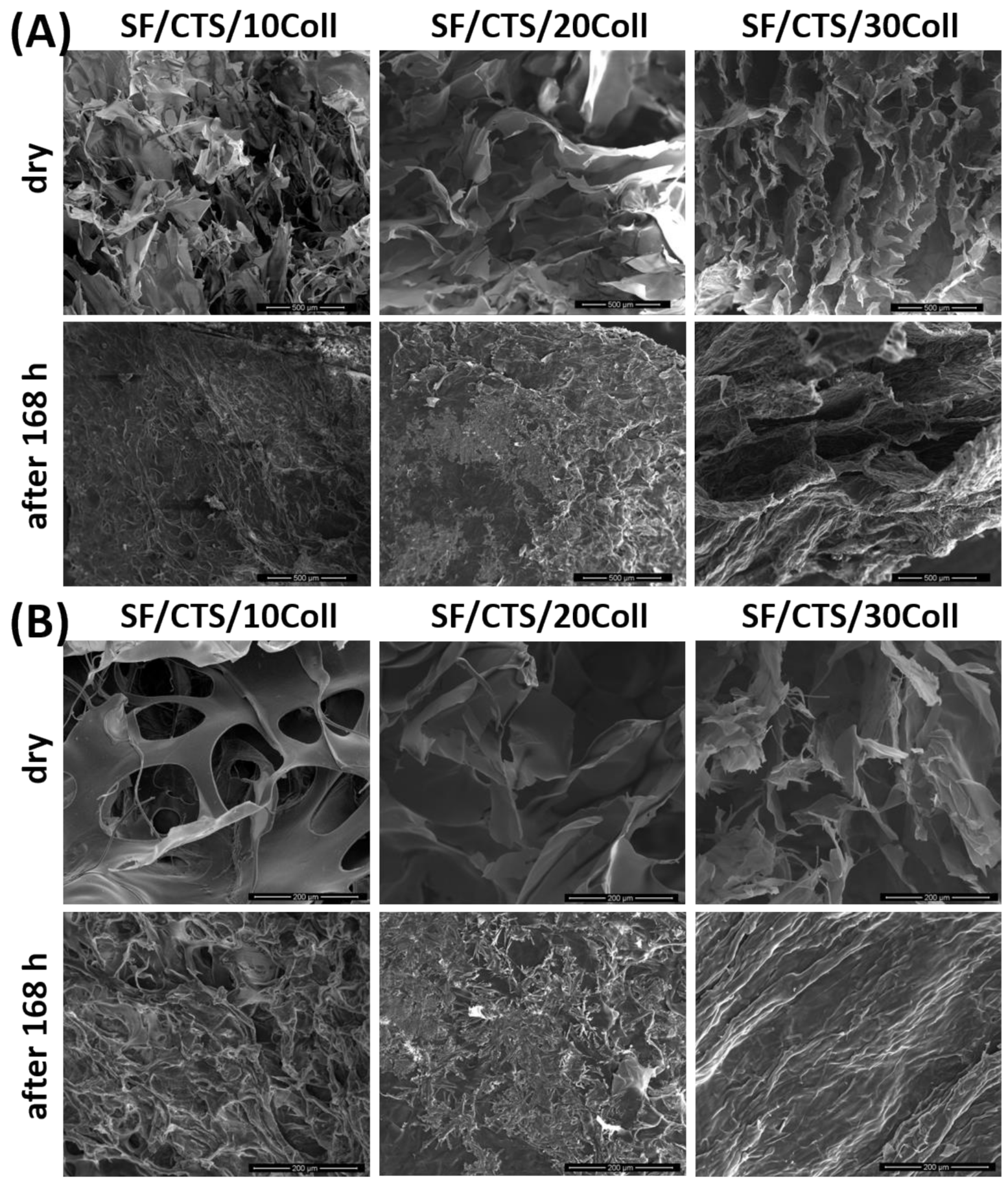Materials 14 01105 g010