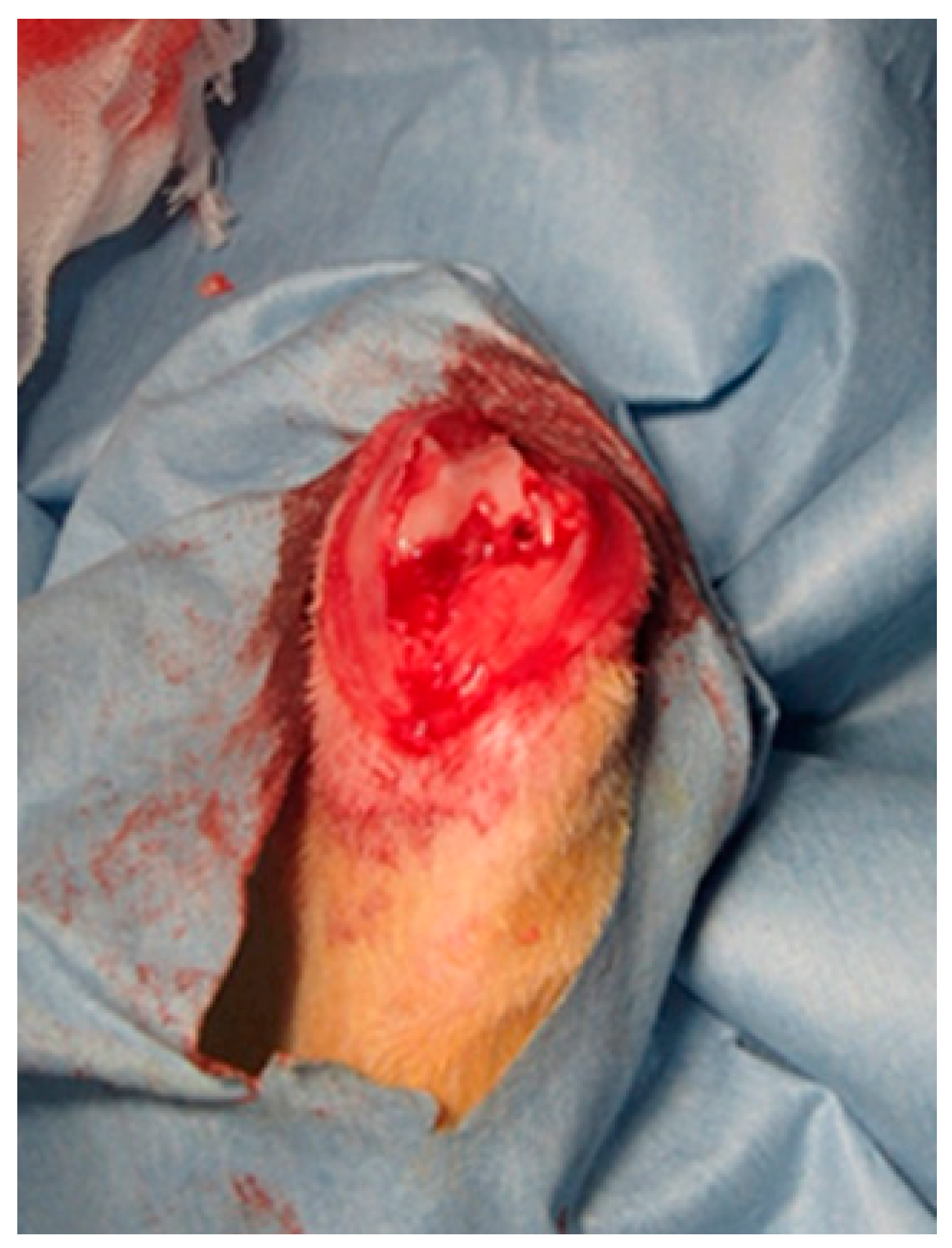 Materials 14 01110 g002 Materials 14 01110 g002