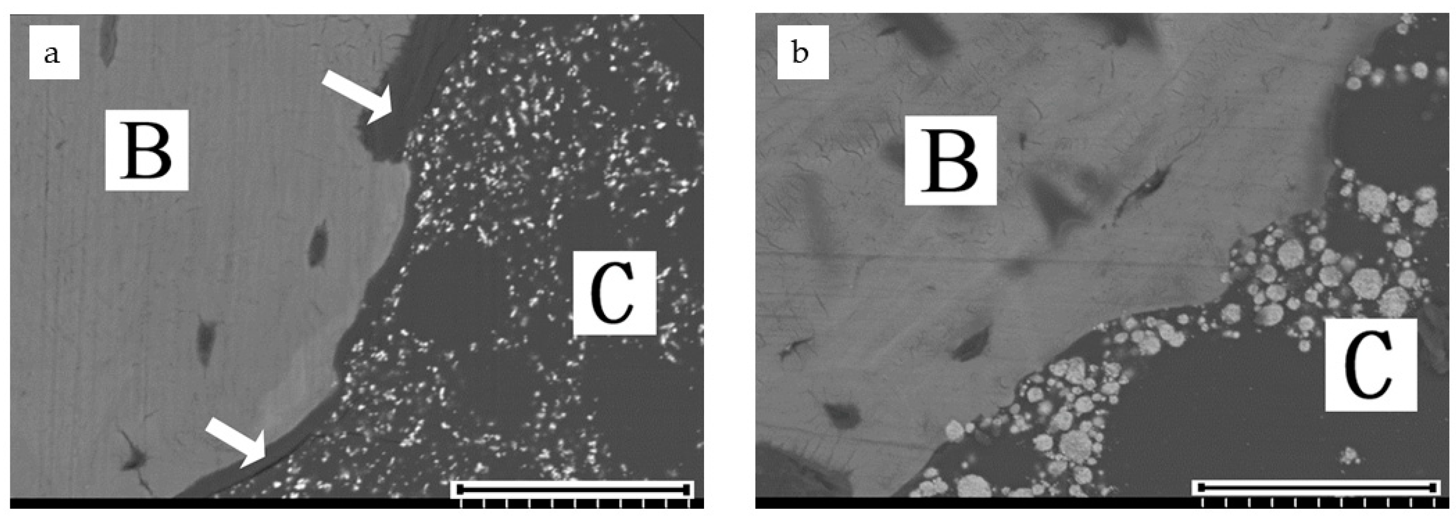 Materials 14 01110 g003 Materials 14 01110 g003