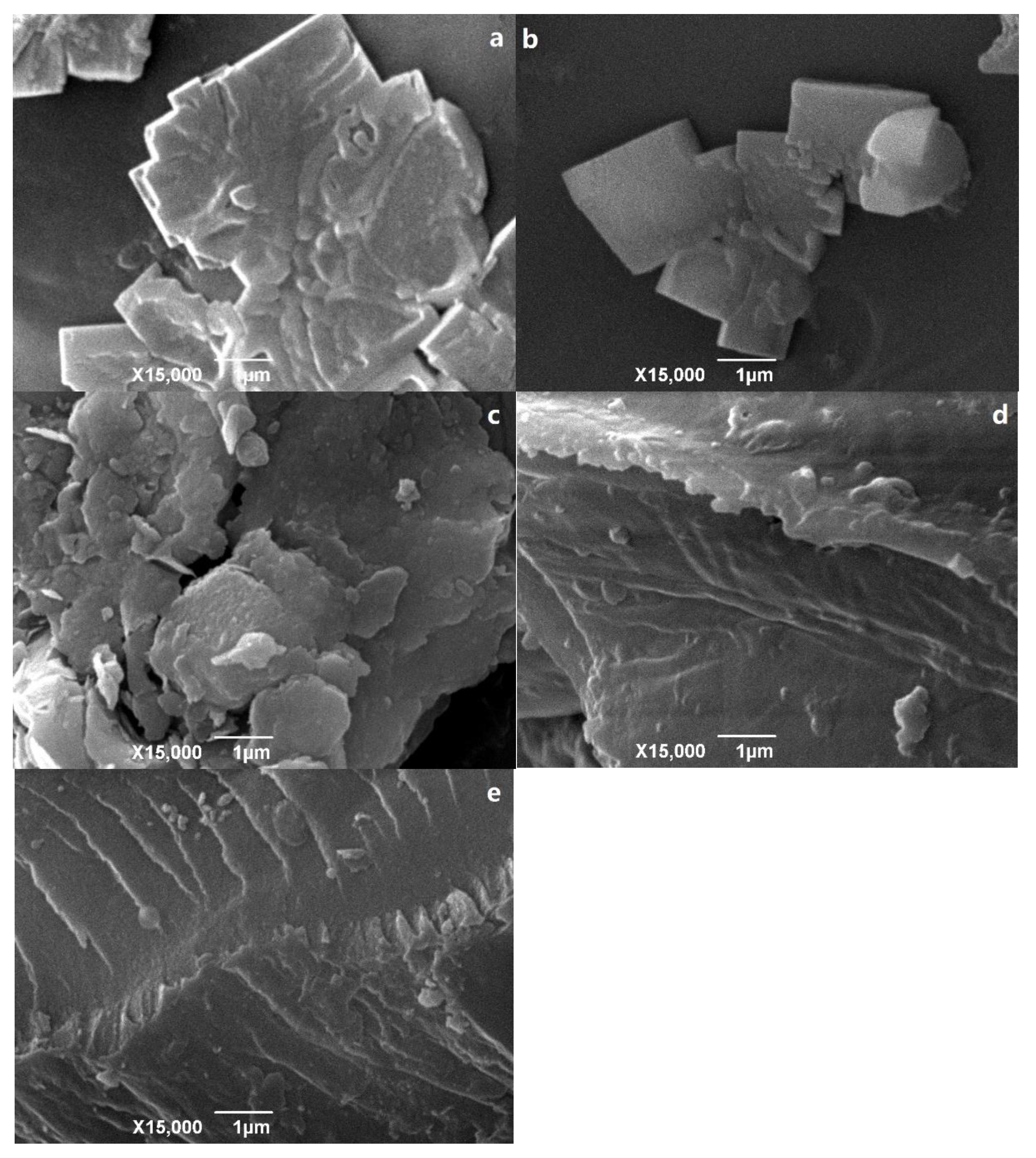 Materials 14 01117 g001 Materials 14 01117 g001