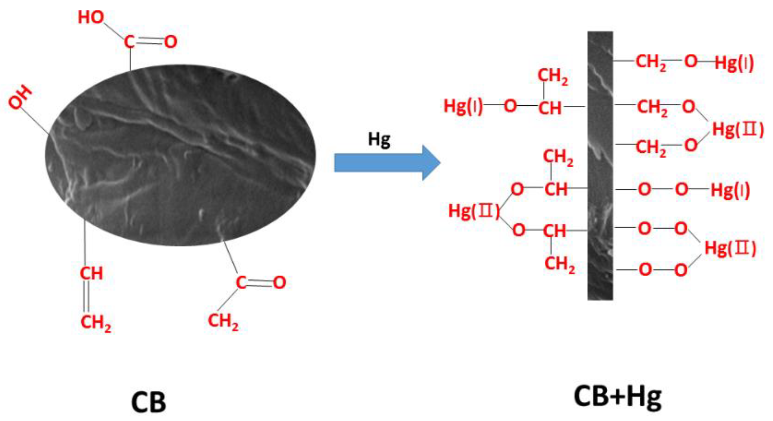 Materials 14 01117 g006 Materials 14 01117 g006