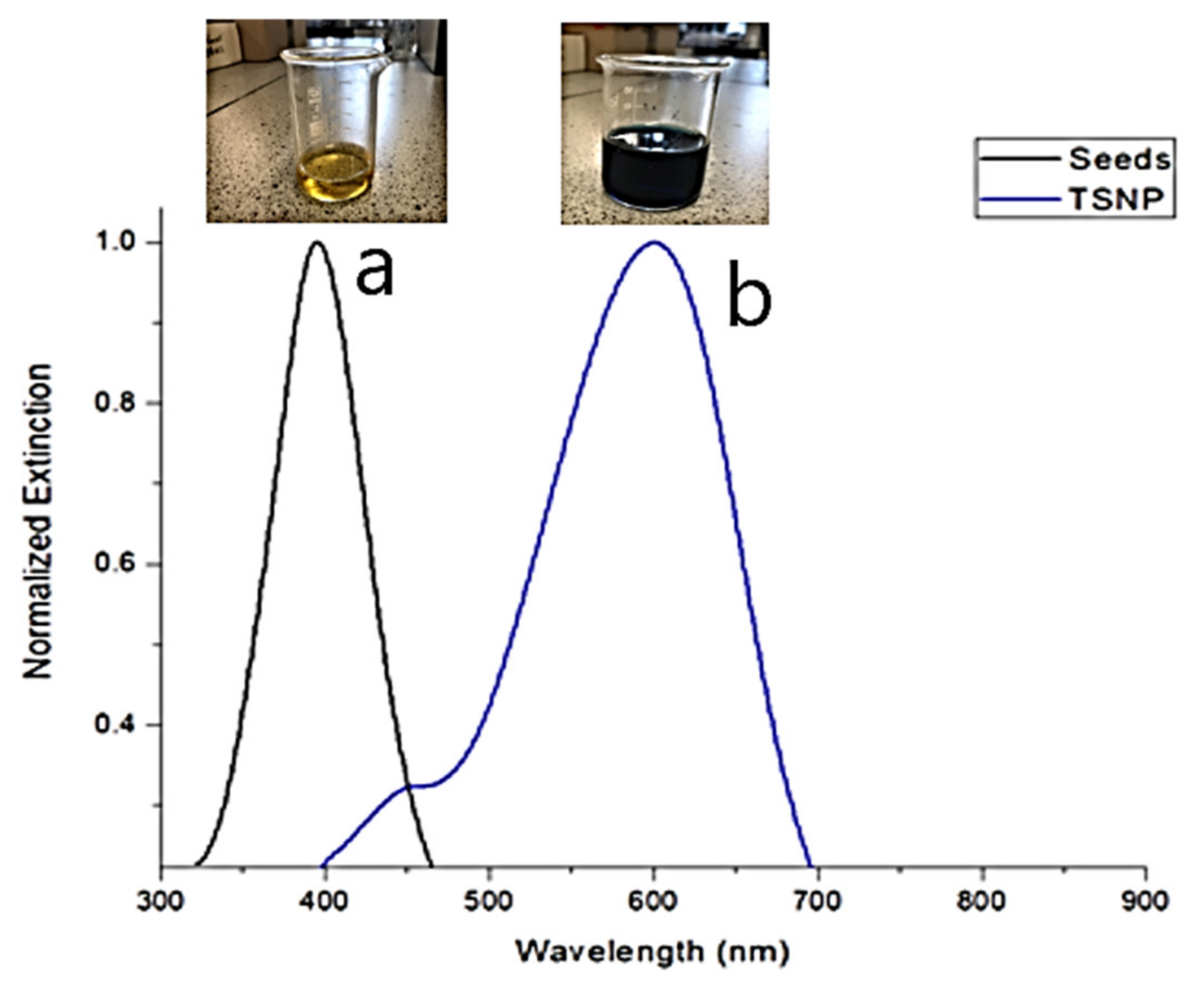Materials 14 01132 g001