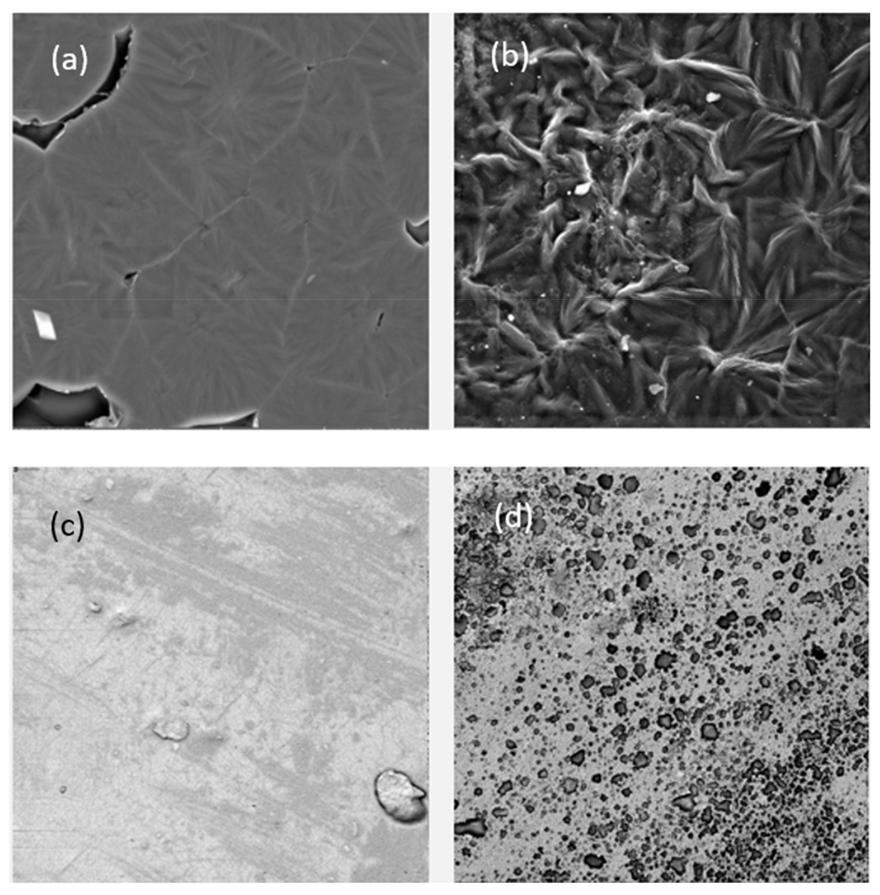 Materials 14 01132 g005